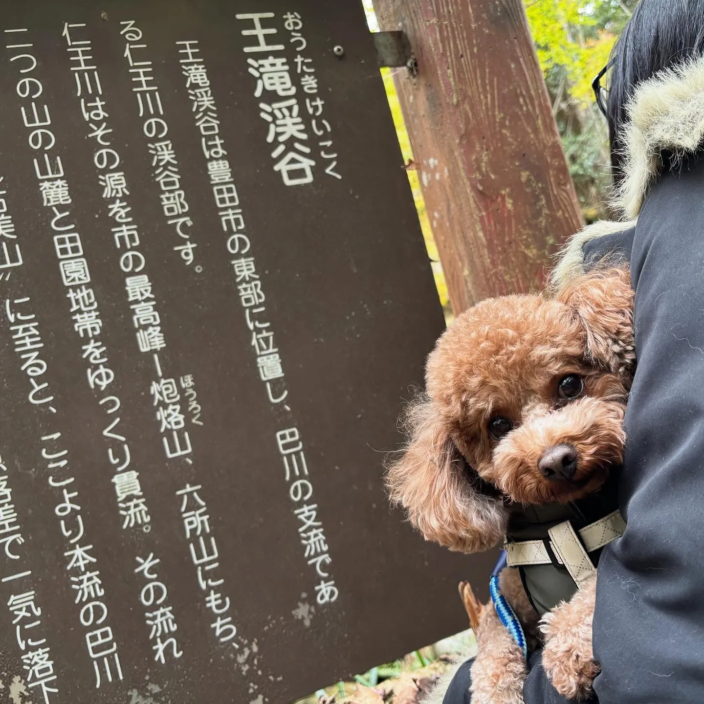 【秋の遠足 受付終了のお知らせ】