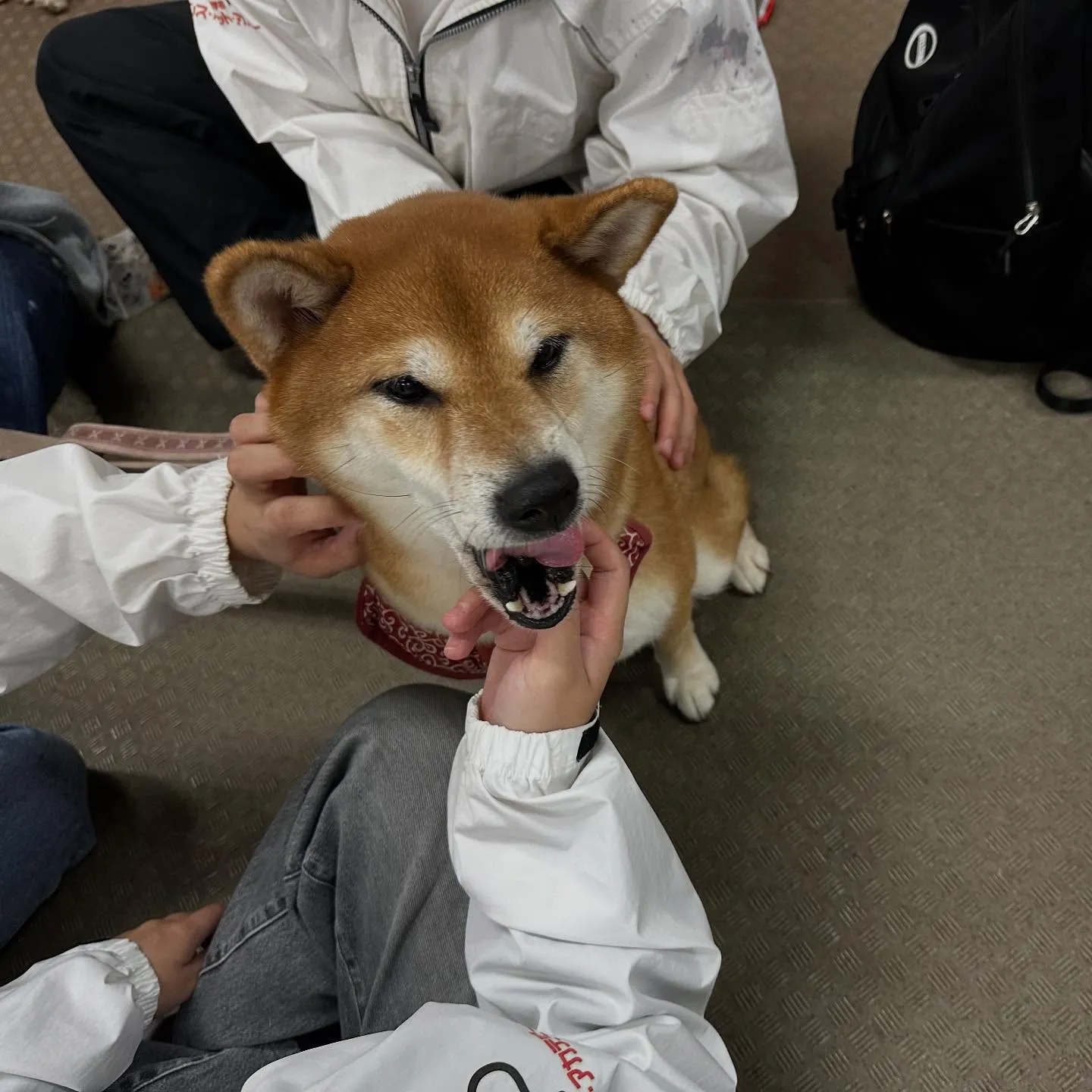 昨日は専門学校dayで連泊中のおまめくんと一緒に行ってきまし...