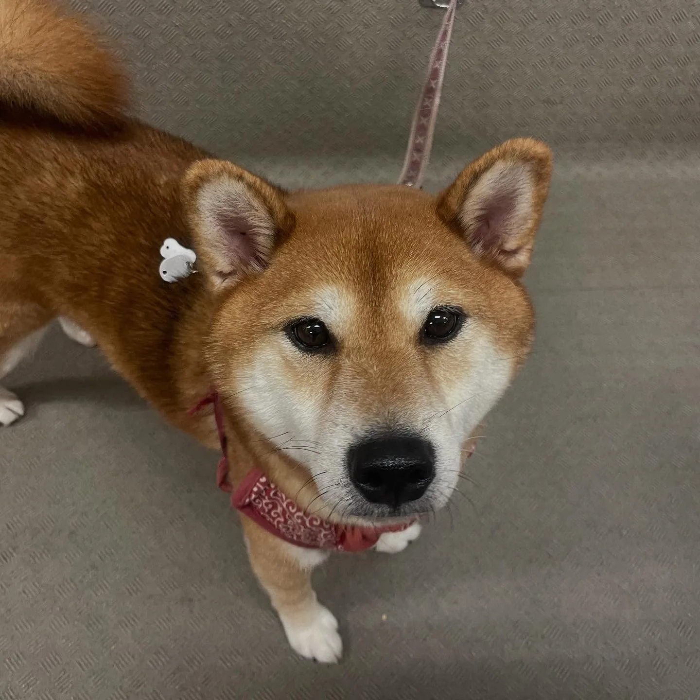 昨日は専門学校dayで連泊中のおまめくんと一緒に行ってきまし...