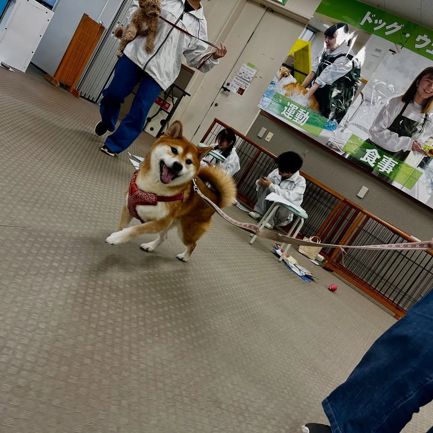 昨日は専門学校dayで連泊中のおまめくんと一緒に行ってきまし...