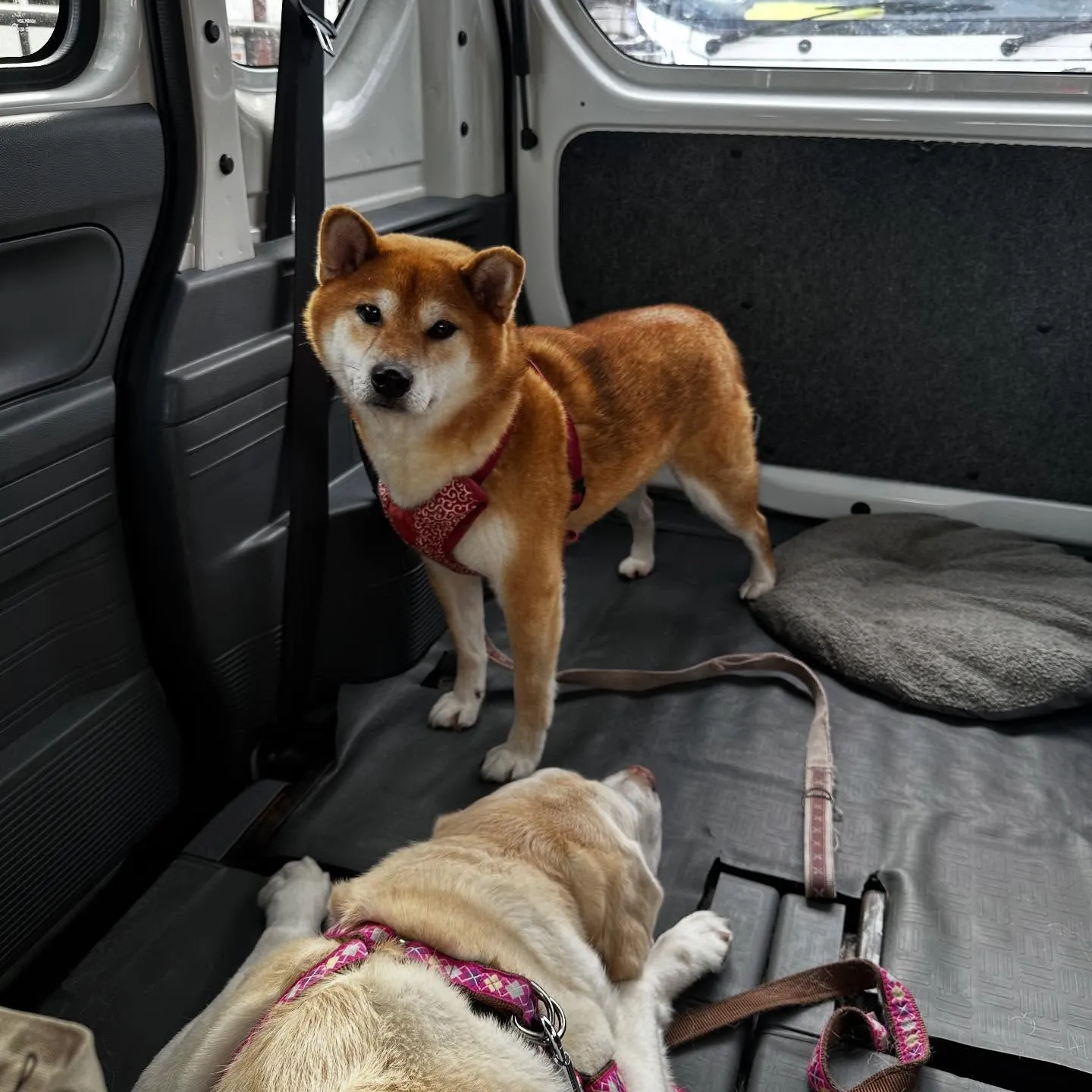 昨日は専門学校dayで連泊中のおまめくんと一緒に行ってきまし...