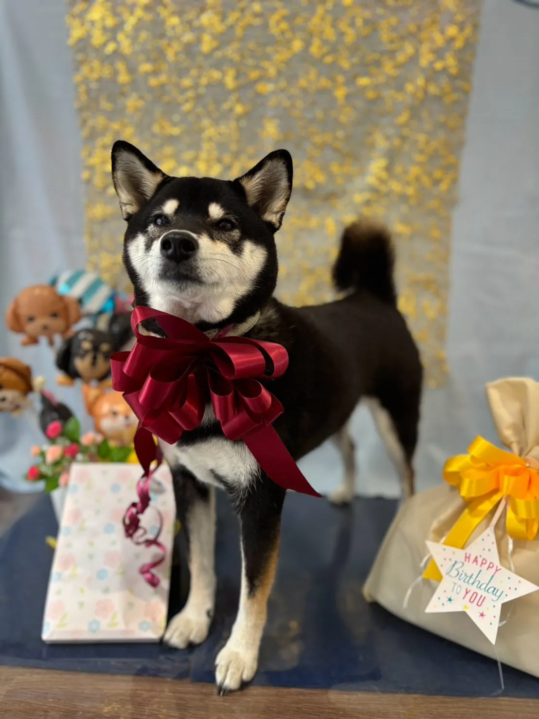 今日はおとちゃんのお誕生日です🎂㊗️