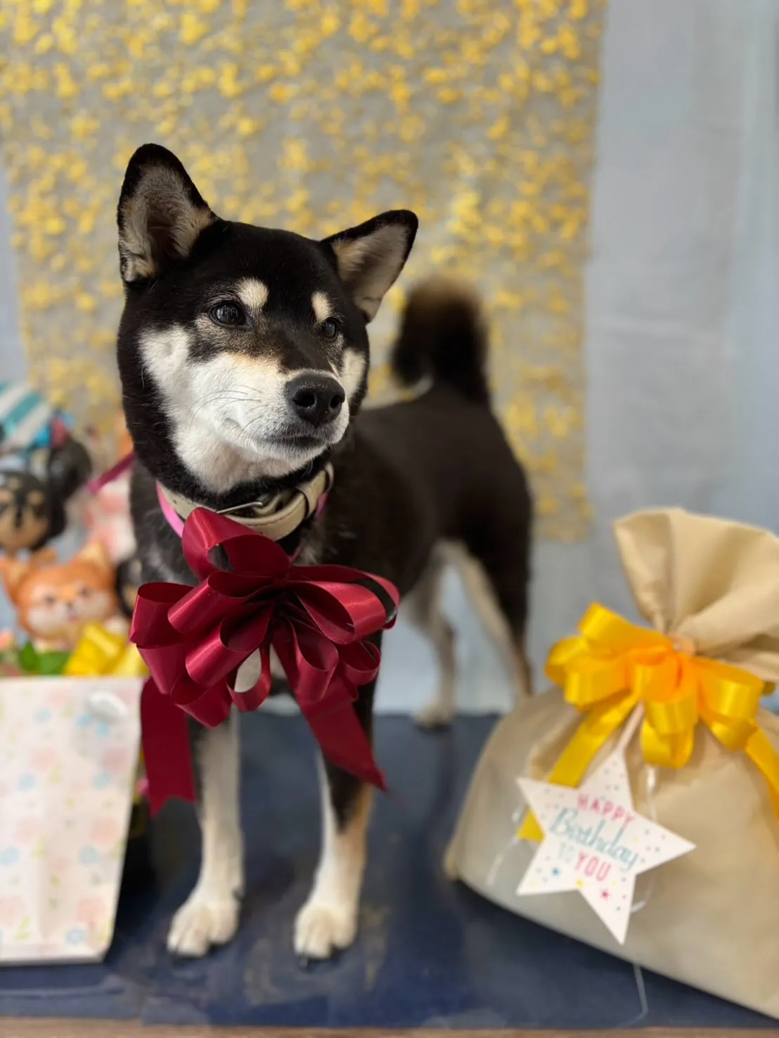 今日はおとちゃんのお誕生日です🎂㊗️