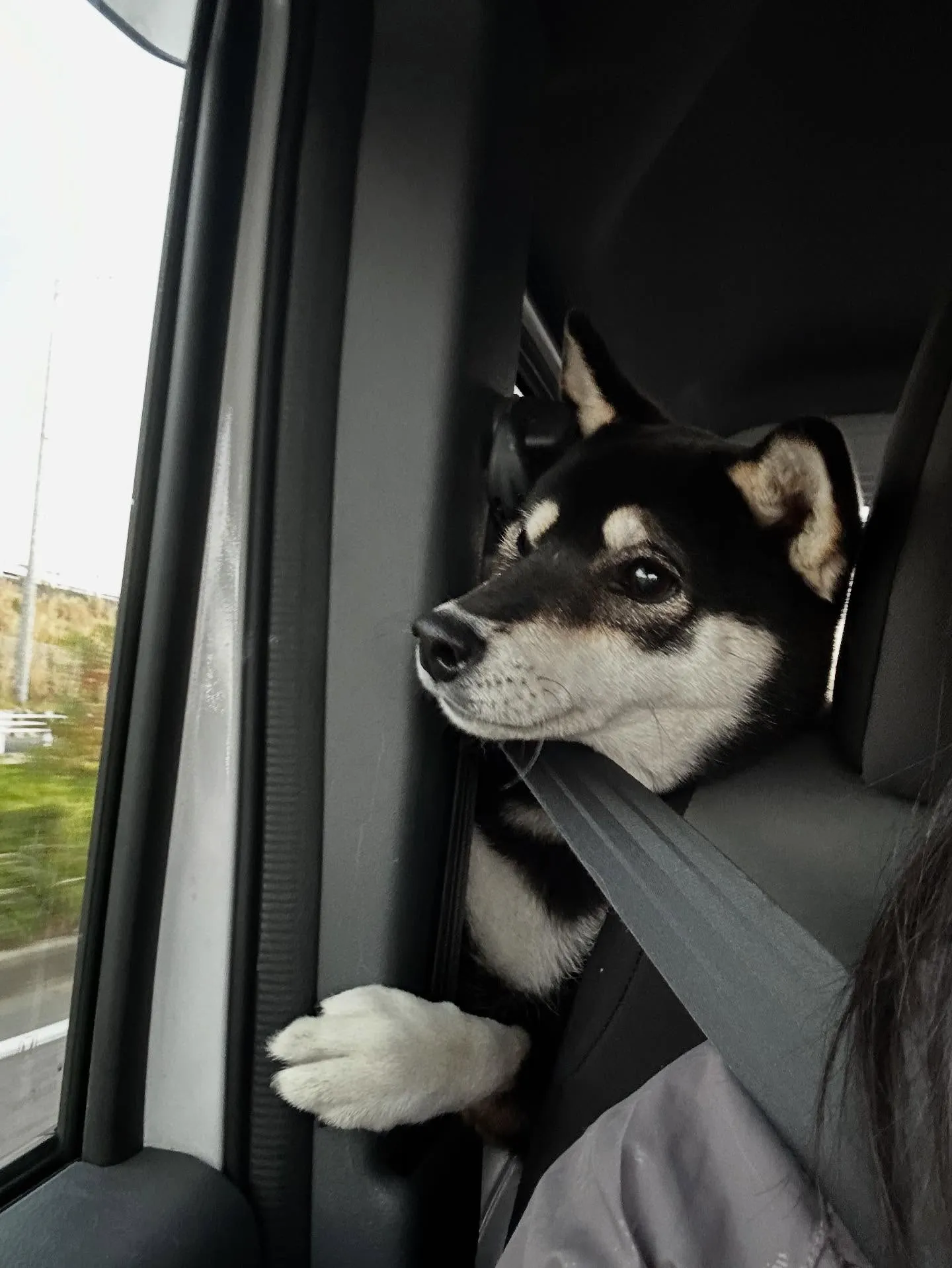 今日はおとちゃんのお誕生日です🎂㊗️