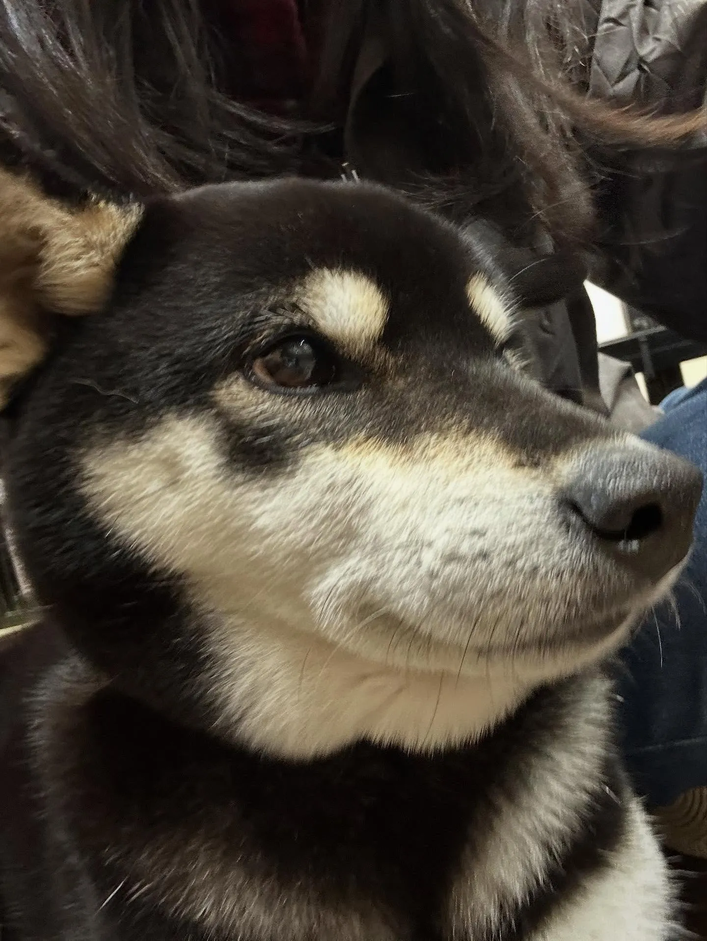 今日はおとちゃんのお誕生日です🎂㊗️