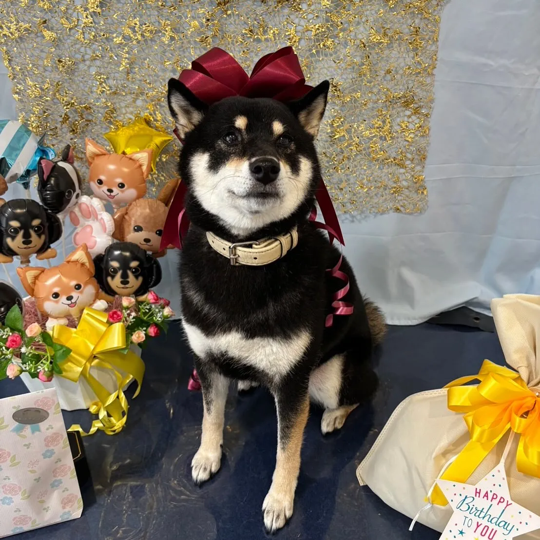 今日は先日のおとちゃんのお誕生日に引き続き