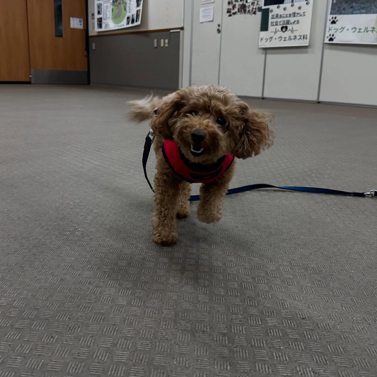 今日は専門学校dayだったので