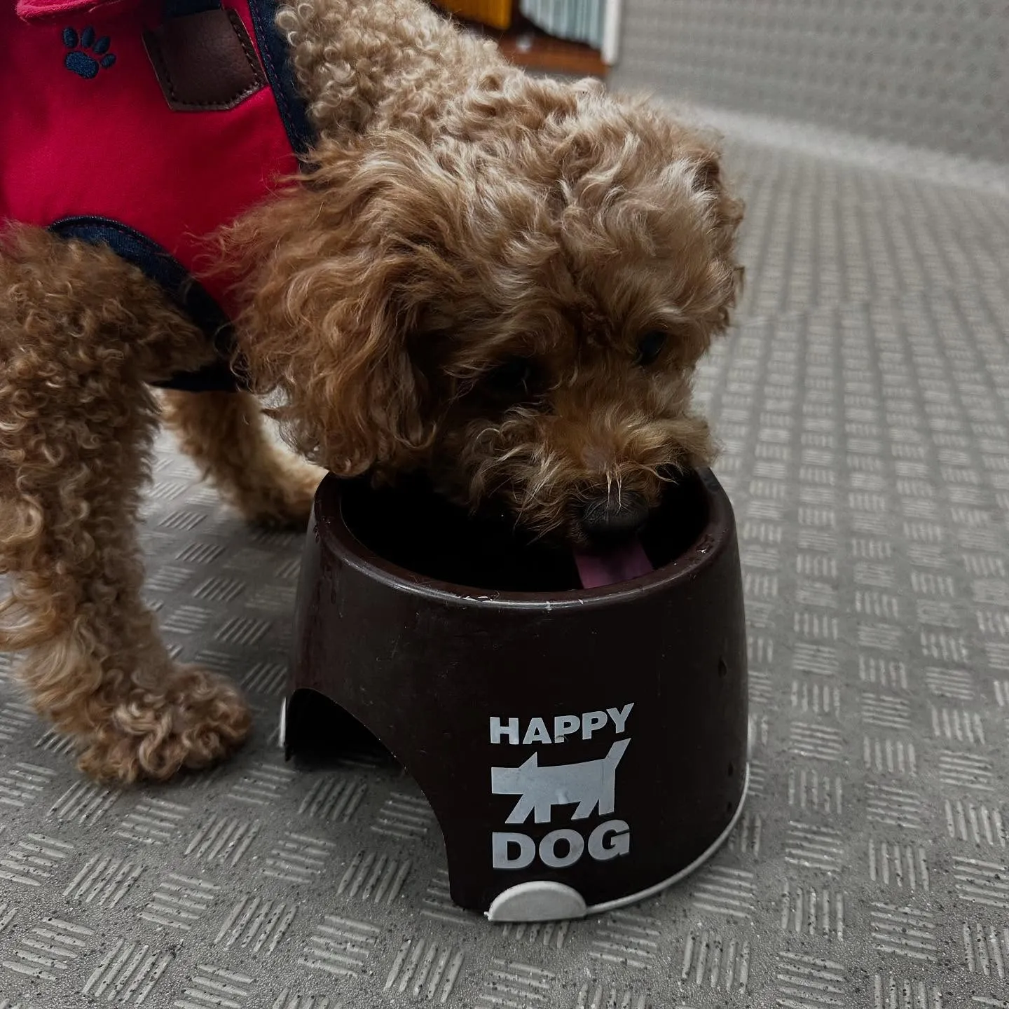 今日は専門学校dayだったので