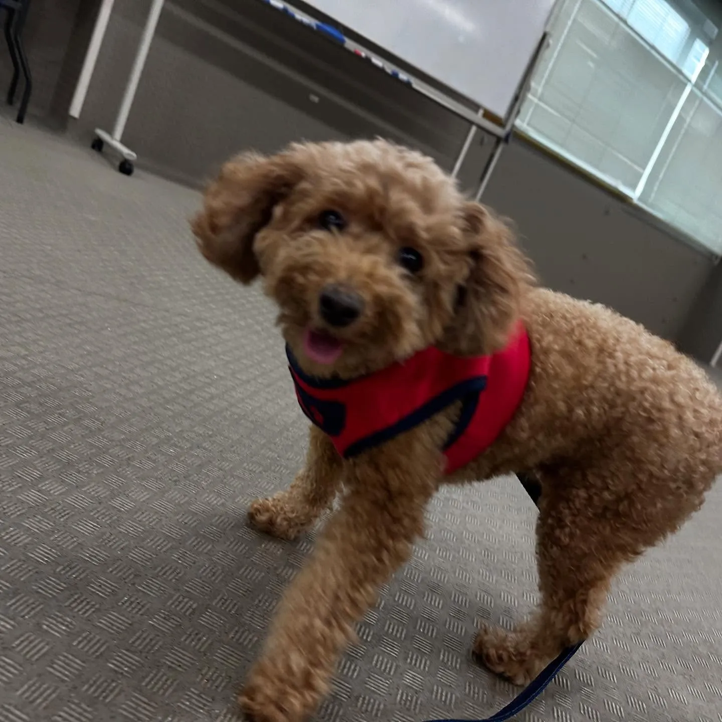 今日は専門学校dayだったので