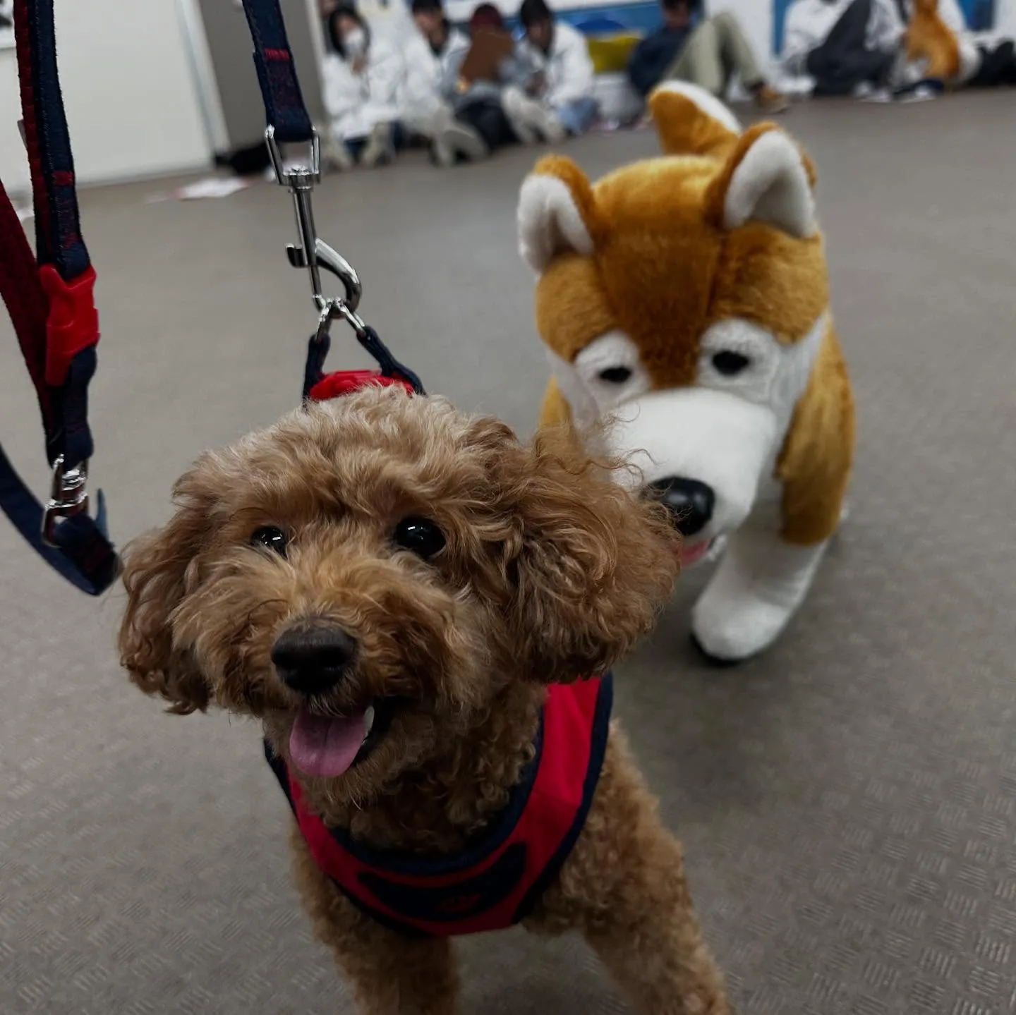 今日は専門学校dayだったので