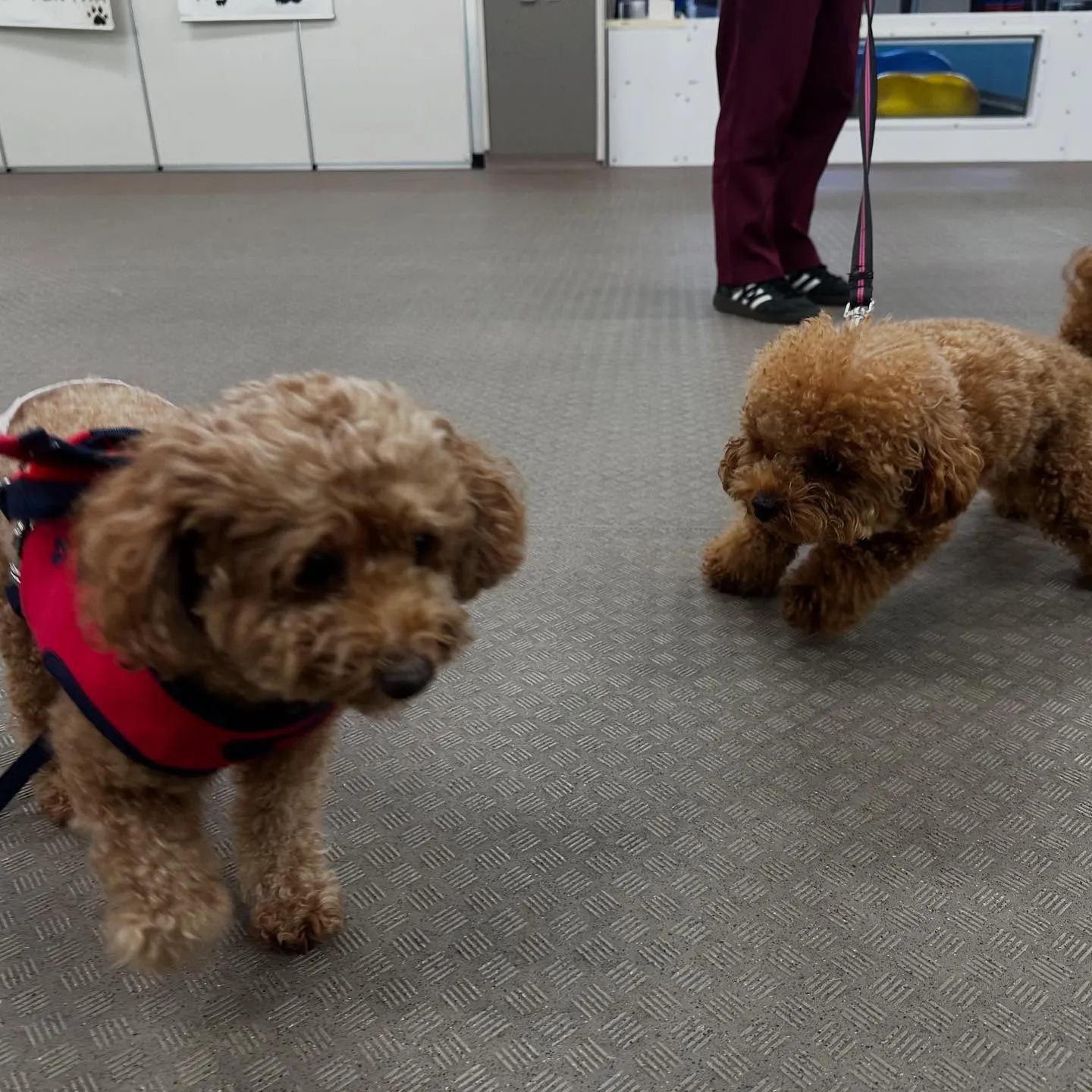 今日は専門学校dayだったので