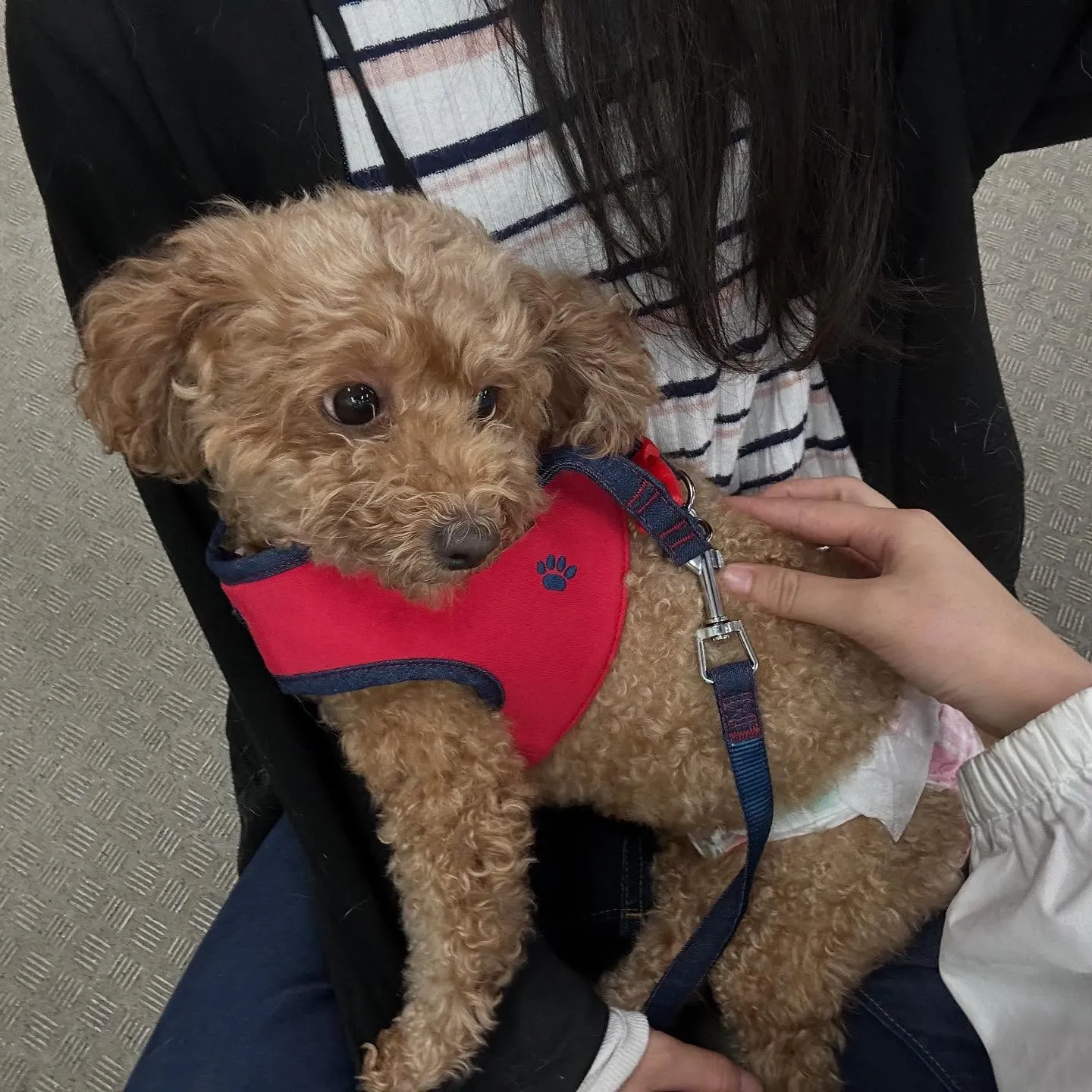 今日は専門学校dayだったので