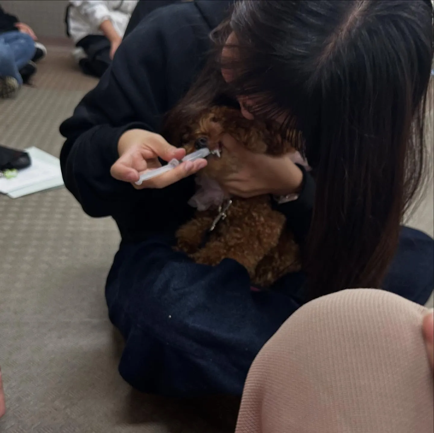 今日は専門学校dayだったので