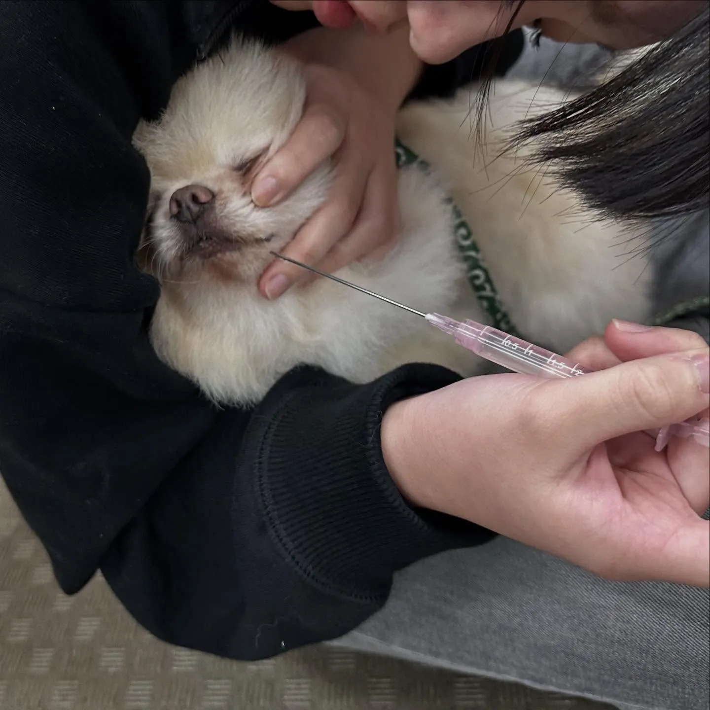 今日は専門学校dayだったので