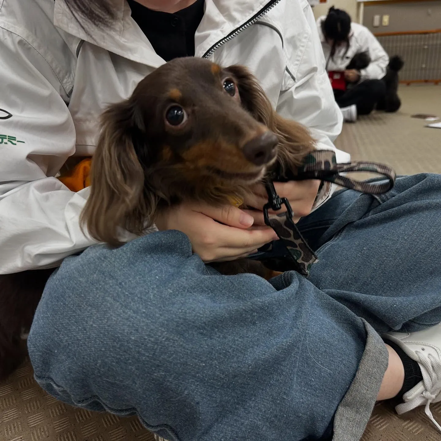 昨日の専門学校はカカオくんと一緒に行ってきました🚗³₃