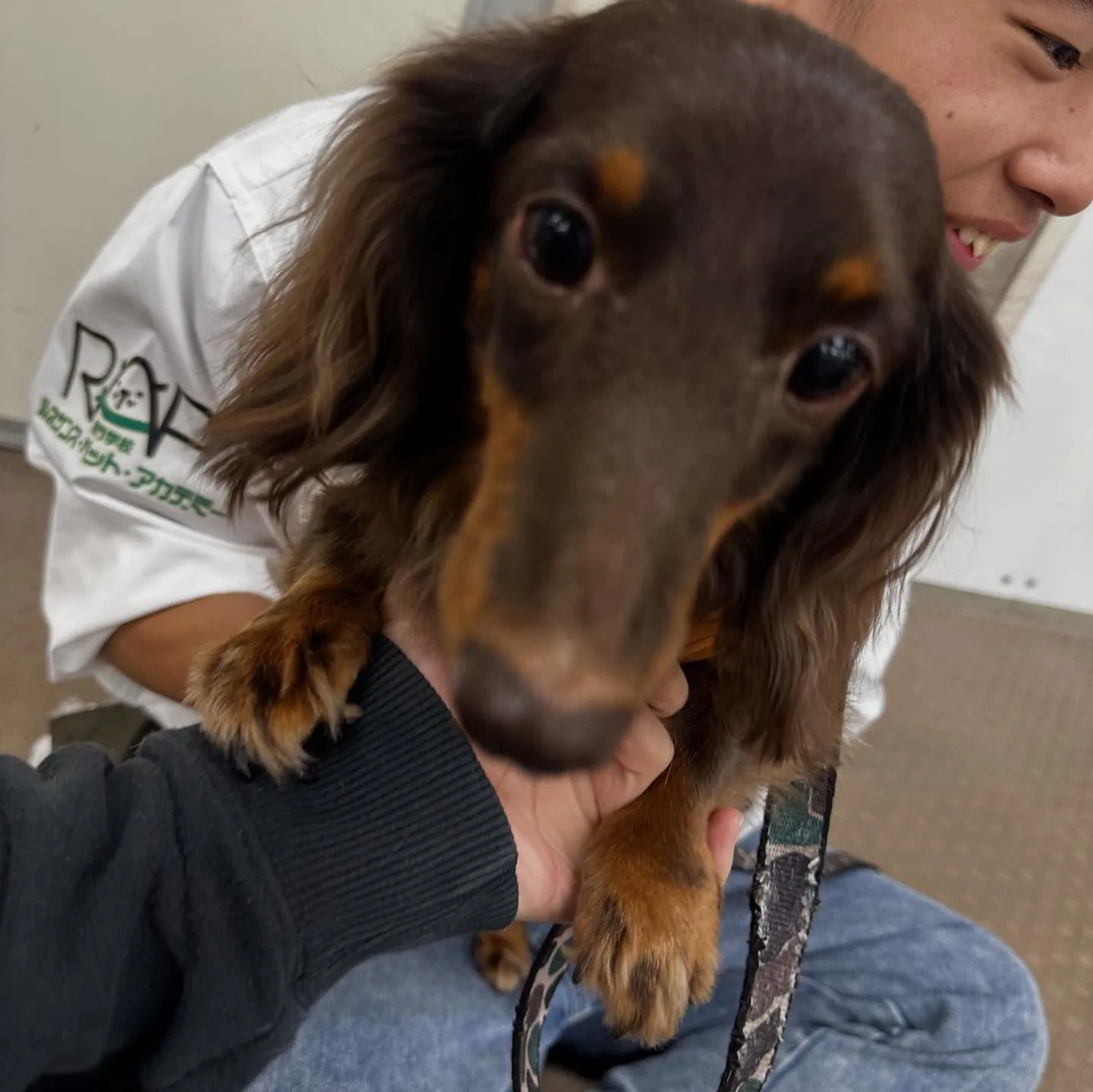 昨日の専門学校はカカオくんと一緒に行ってきました🚗³₃