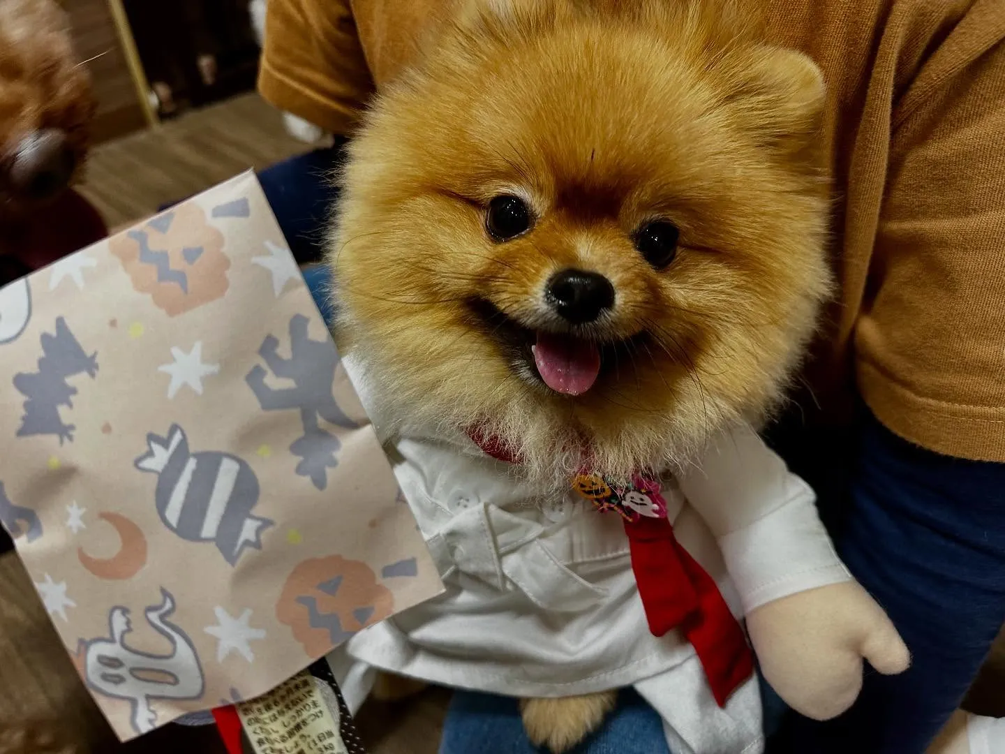 昨日はハロウィンイベント開催日でした🎃