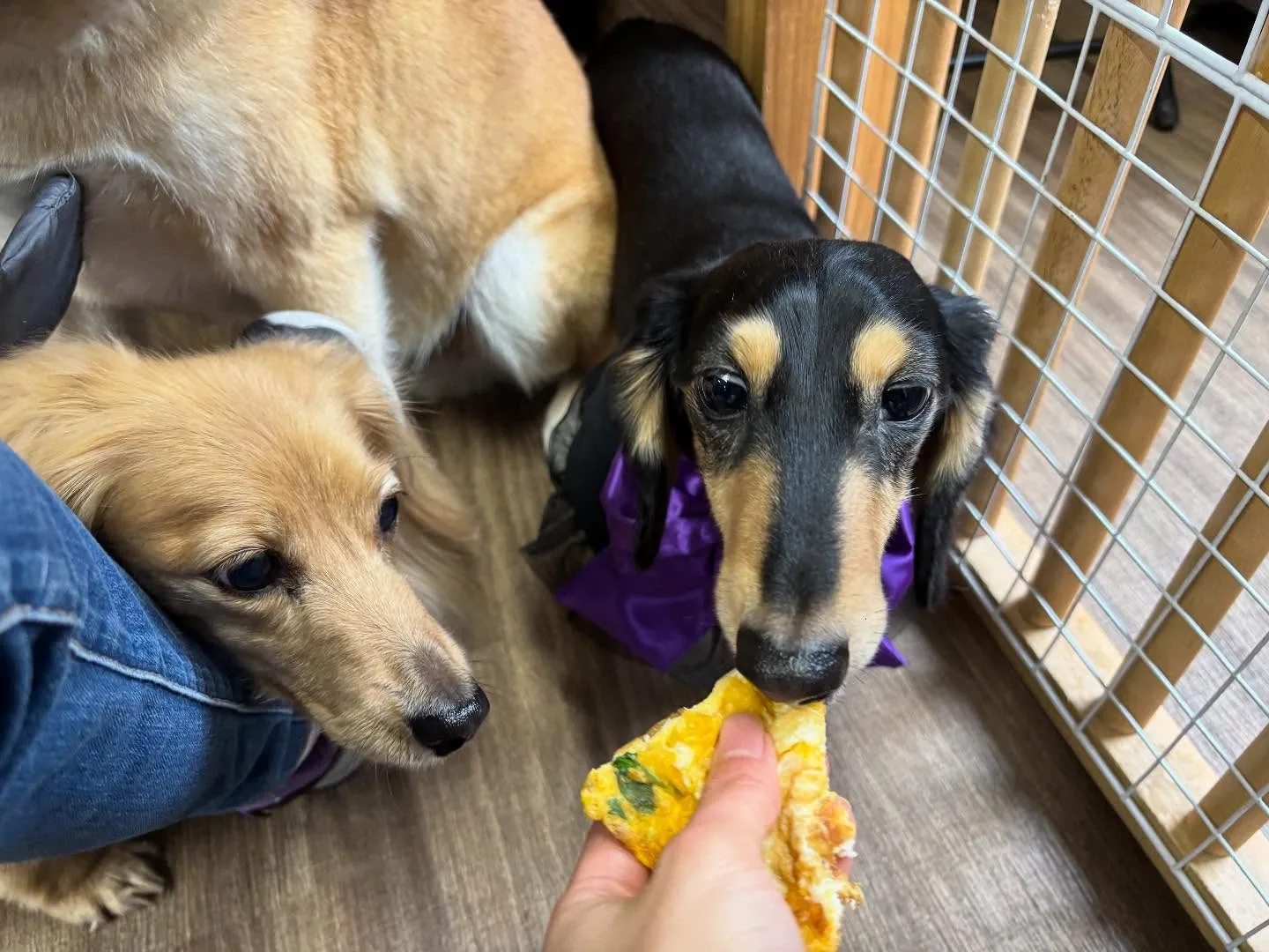 昨日はハロウィンイベント開催日でした🎃