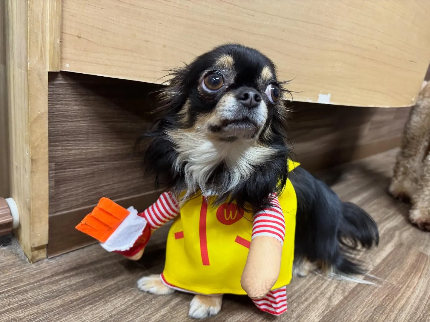 昨日はハロウィンイベント開催日でした🎃