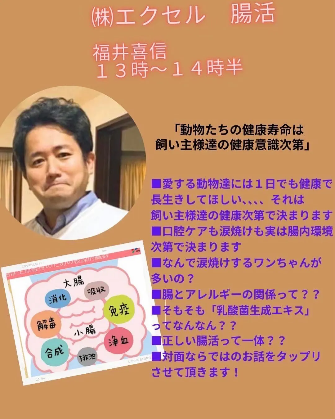 Re.Lapisさんでわんこの健康のためにも大切な『口内ケア...
