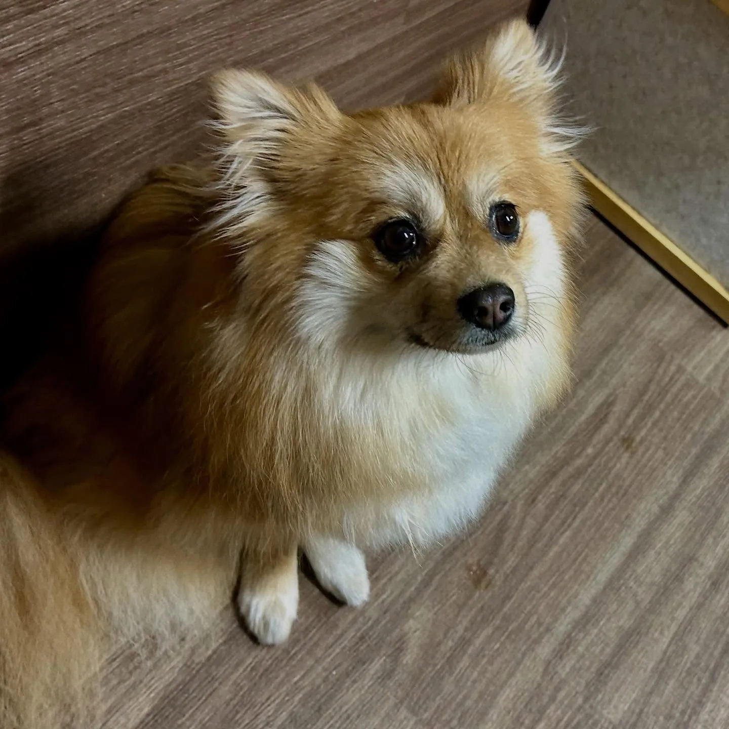 入会してくれたくみちゃんです💕