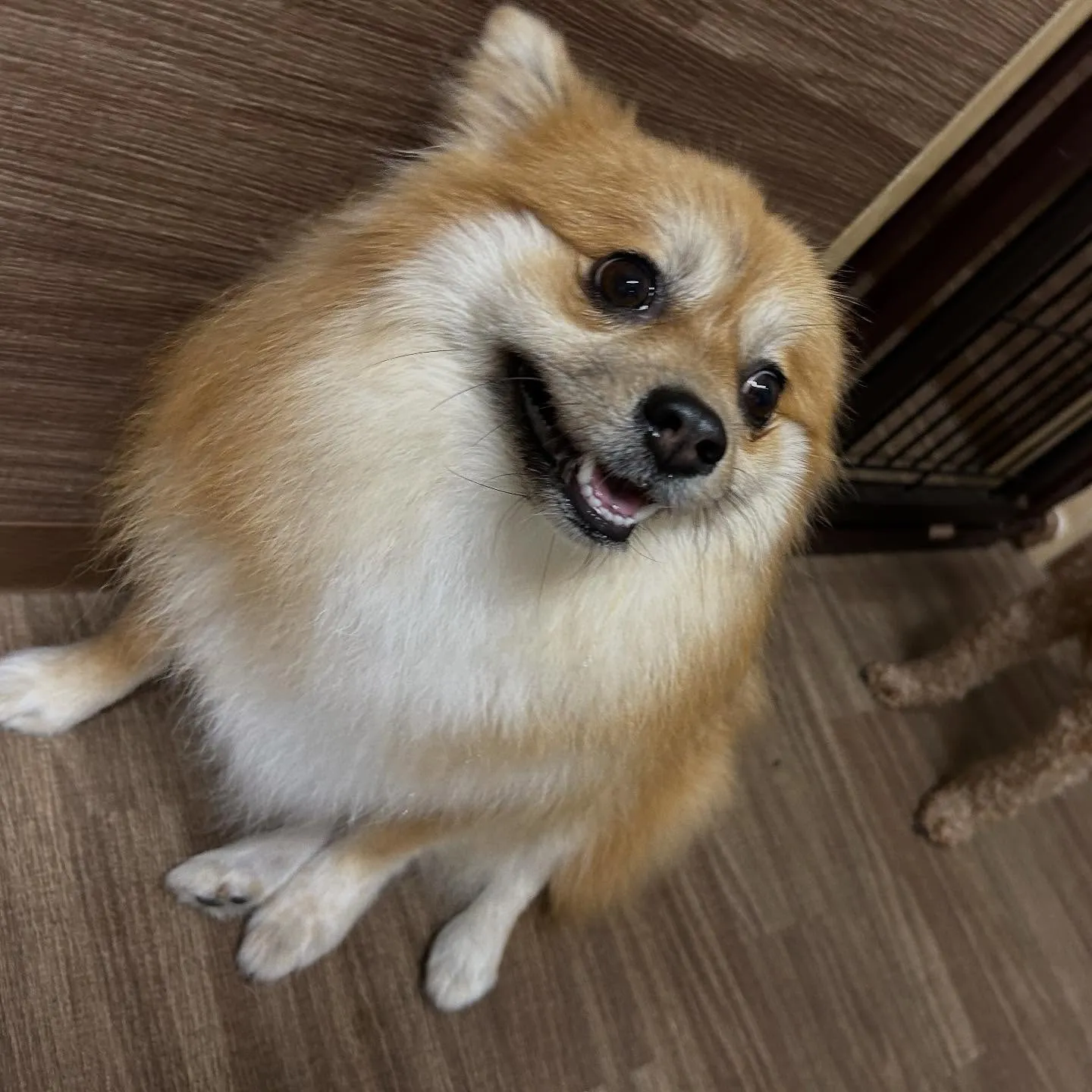 入会してくれたくみちゃんです💕