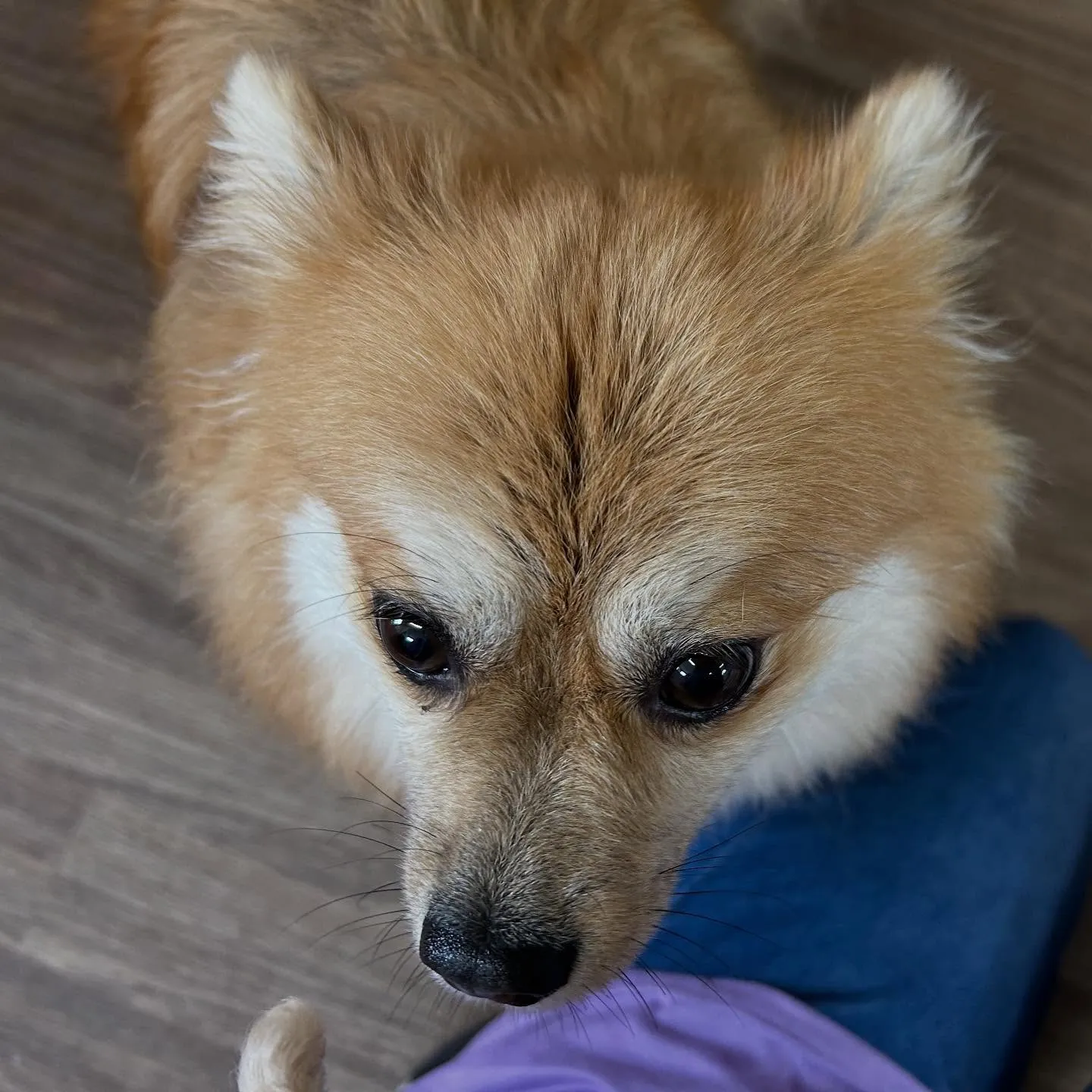 入会してくれたくみちゃんです💕