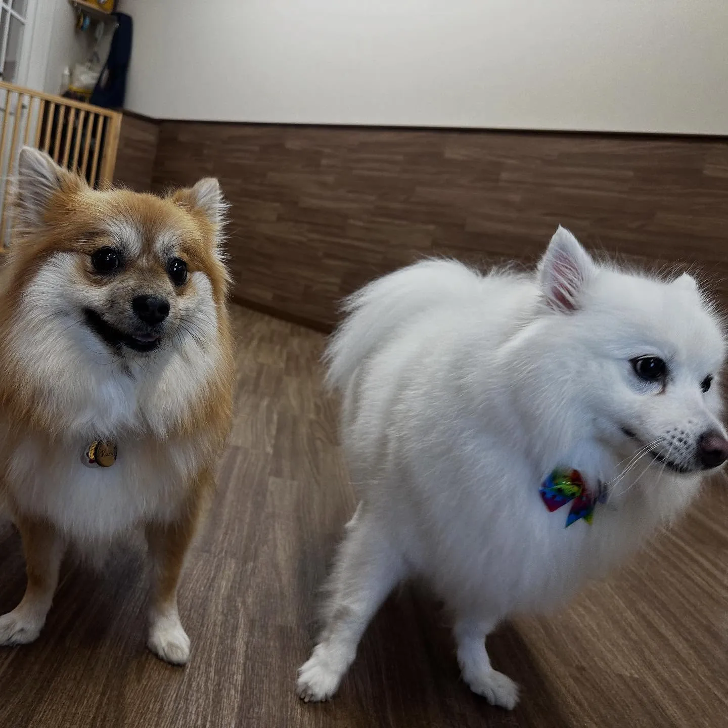 入会してくれたくみちゃんです💕