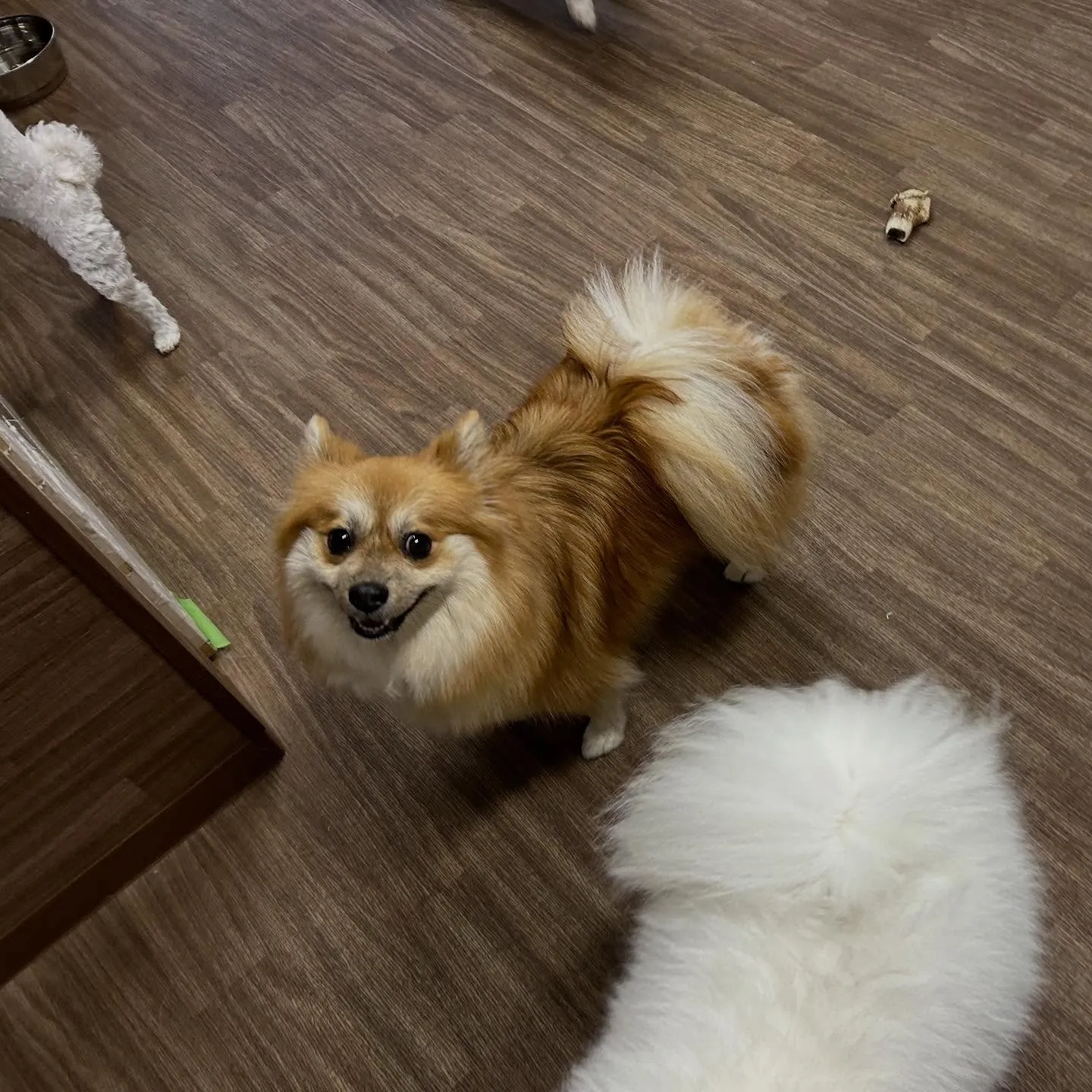 入会してくれたくみちゃんです💕