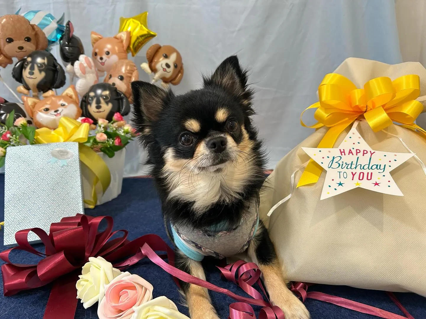 今日はルーくんのお誕生日でした❣️