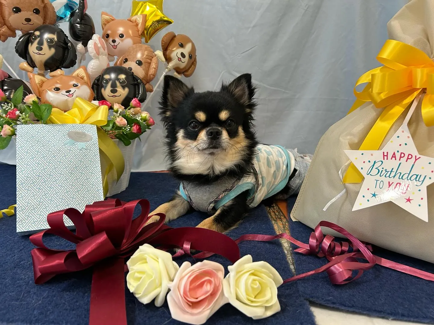 今日はルーくんのお誕生日でした❣️