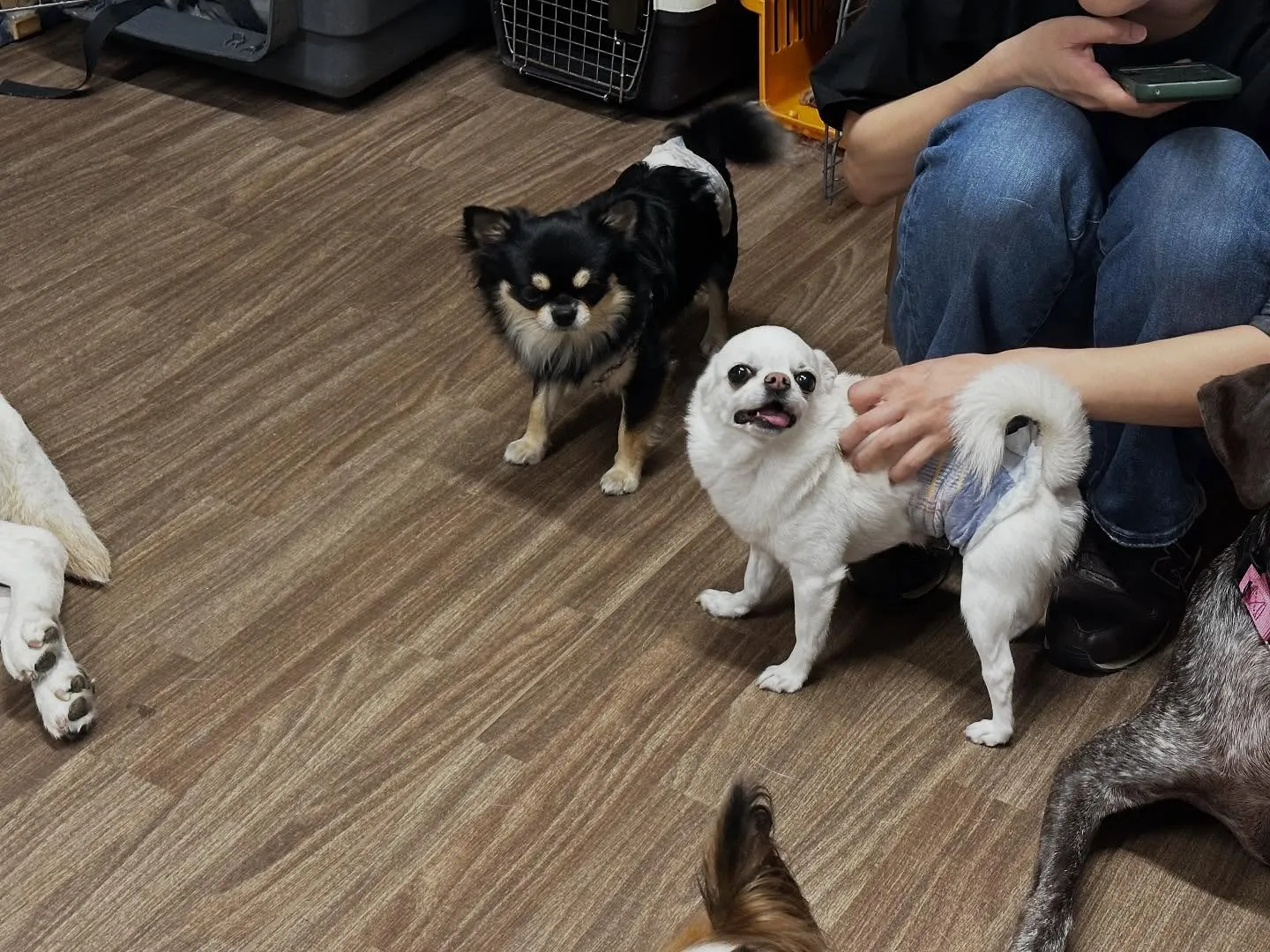 今日はルーくんのお誕生日でした❣️