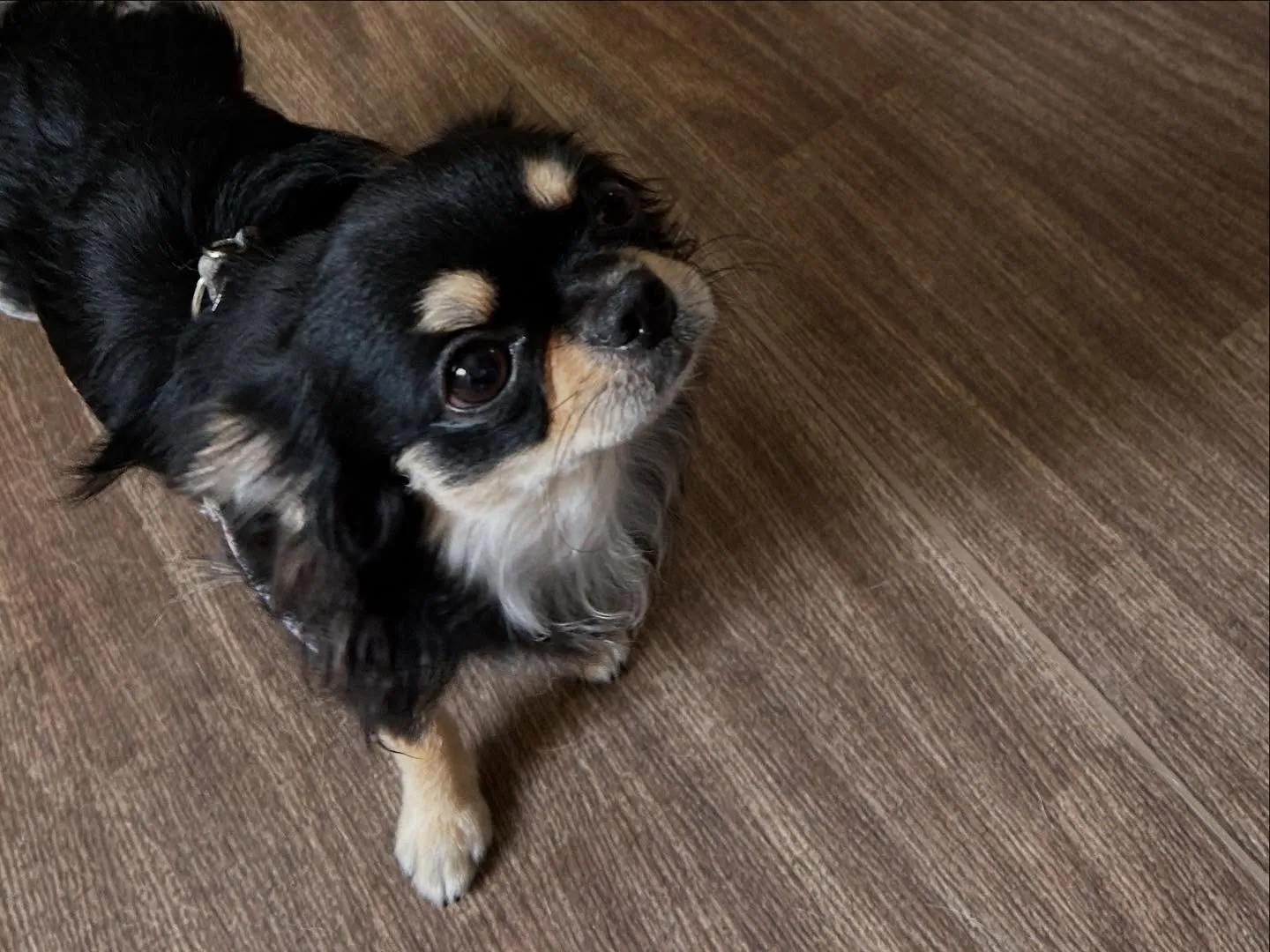 今日はルーくんのお誕生日でした❣️