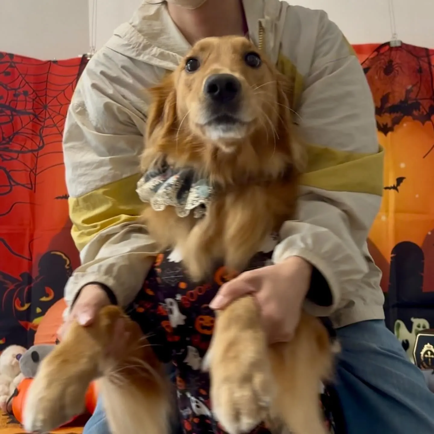 2025/10/31に開催したハロウィンイベントの動画をYo...