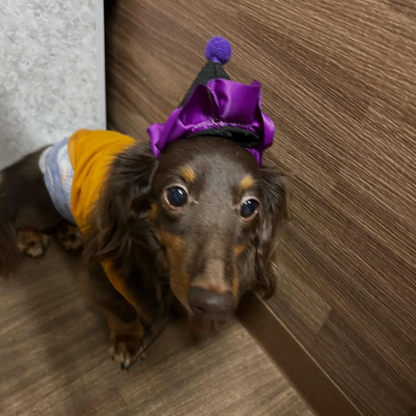 2025/10/31に開催したハロウィンイベントの動画をYo...