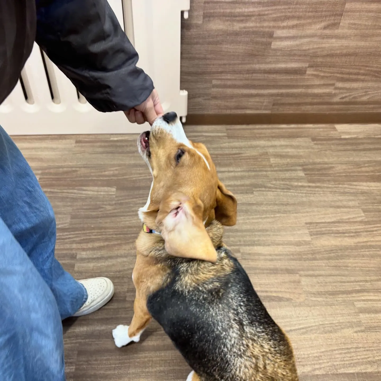 あいちゃん、昨日からダイエット合宿です💪🌟