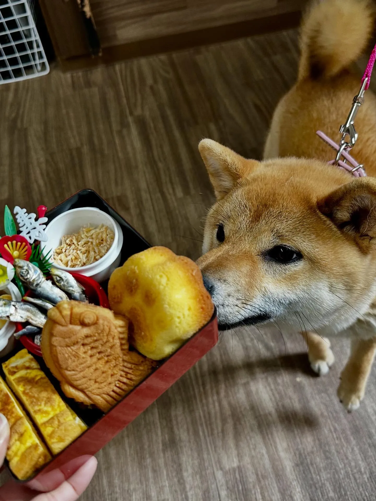 1月の営業カレンダーです❣️