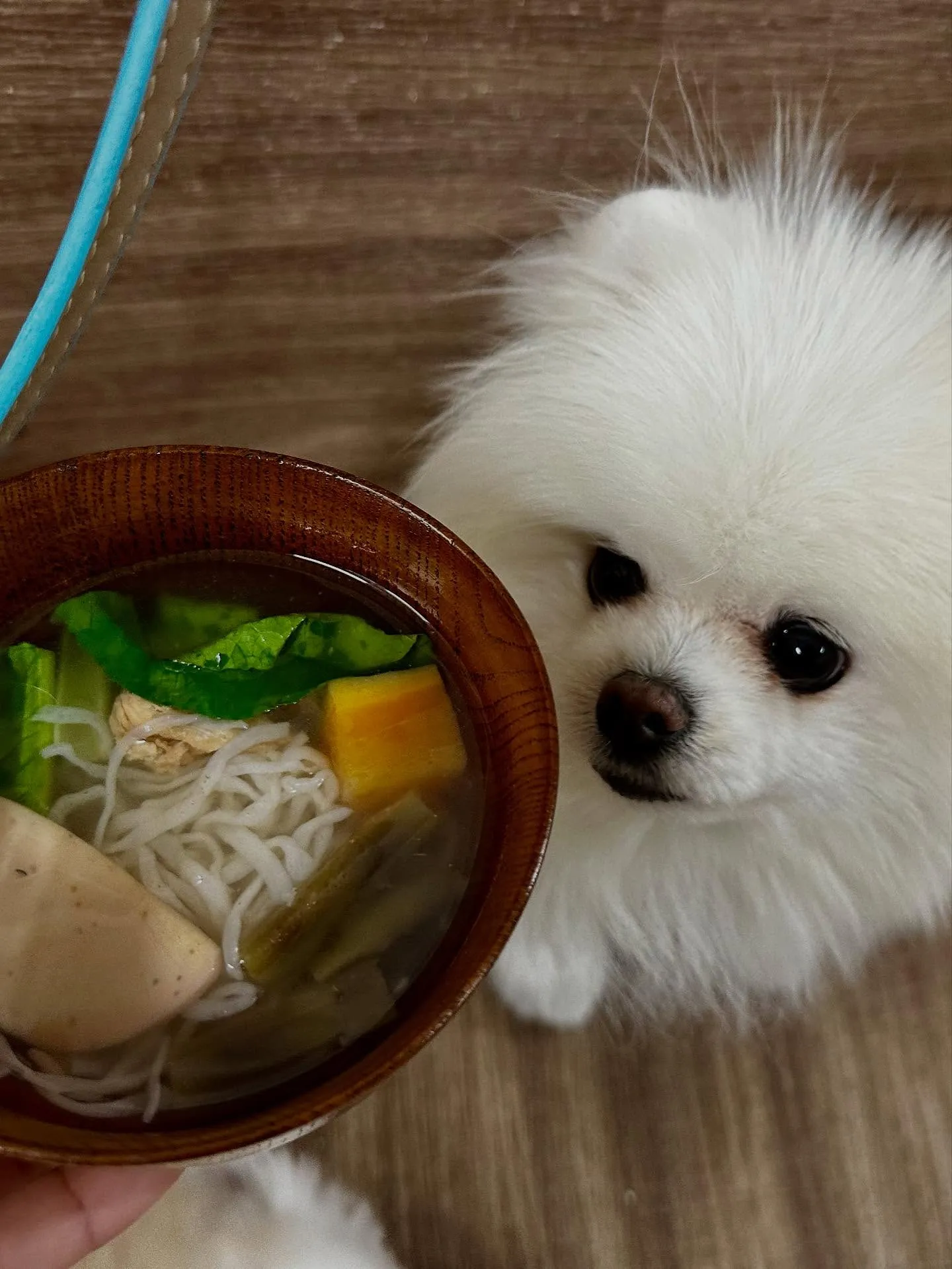 1月の営業カレンダーです❣️