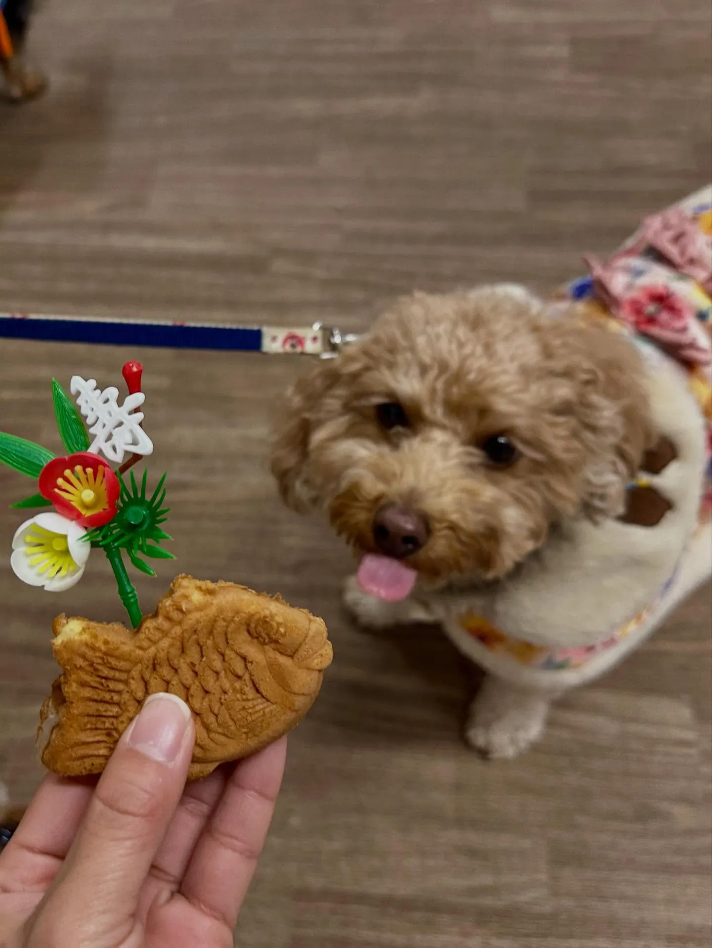 1月の営業カレンダーです❣️