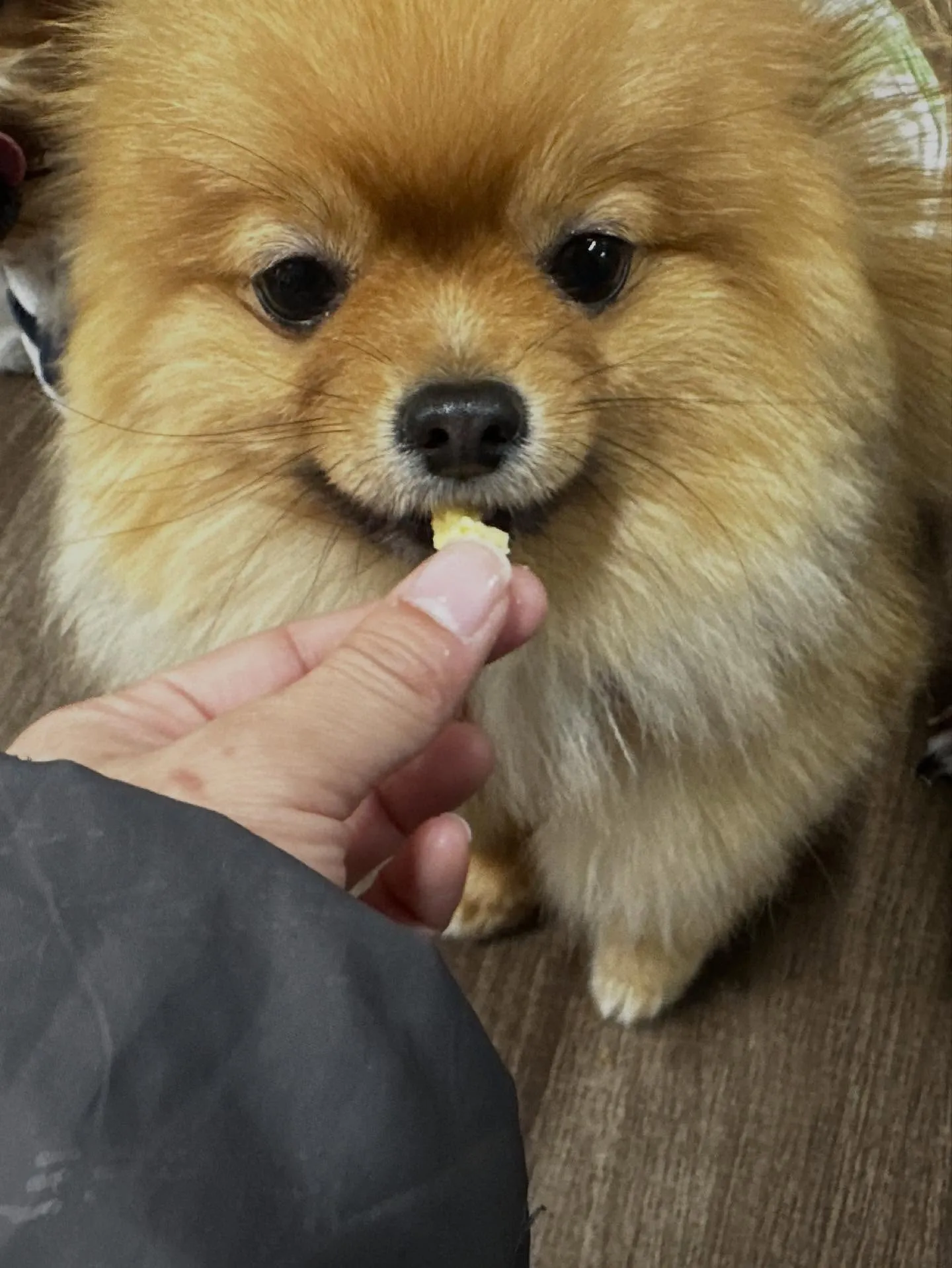 1月の営業カレンダーです❣️