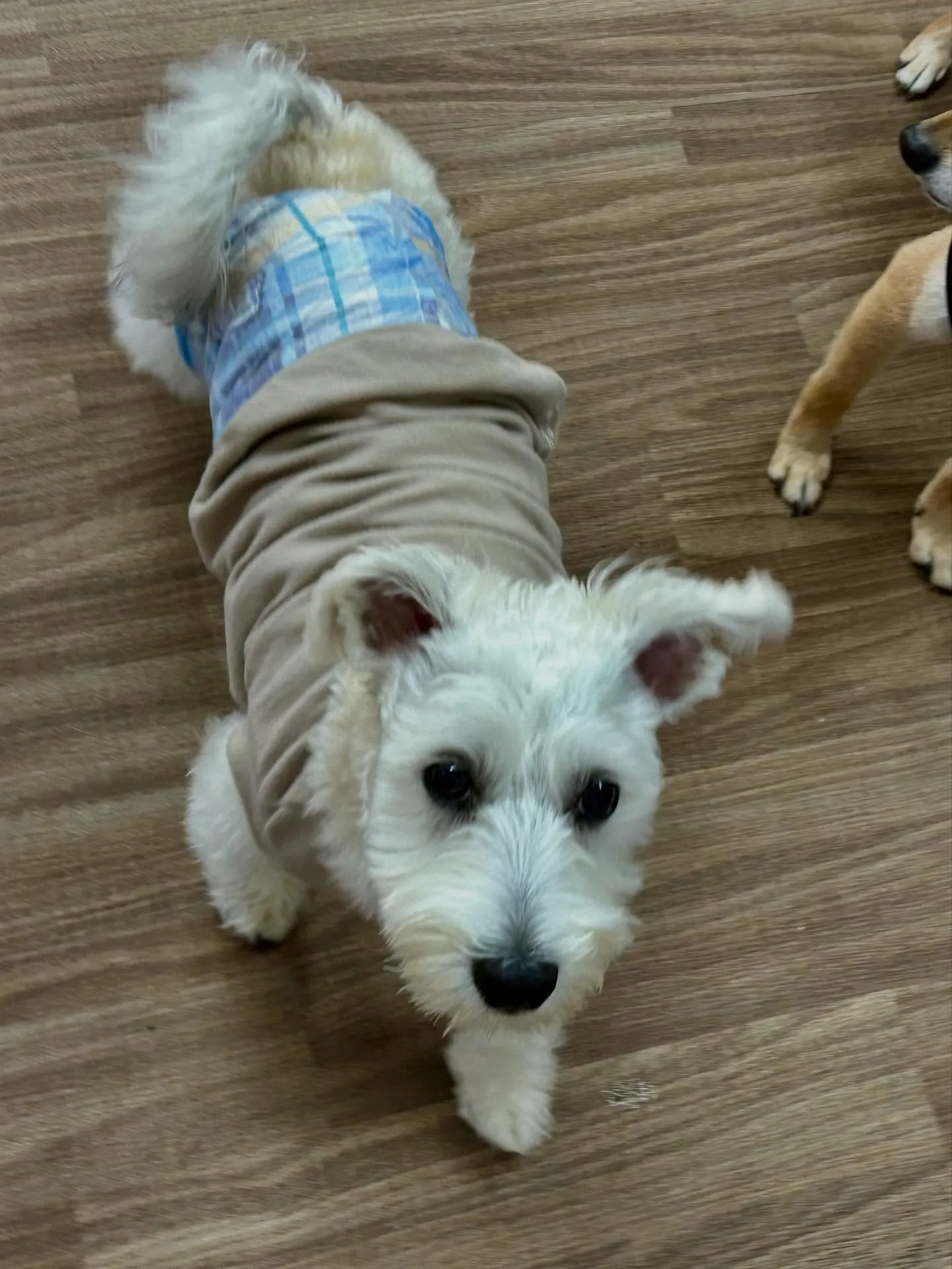 1月の営業カレンダーです❣️