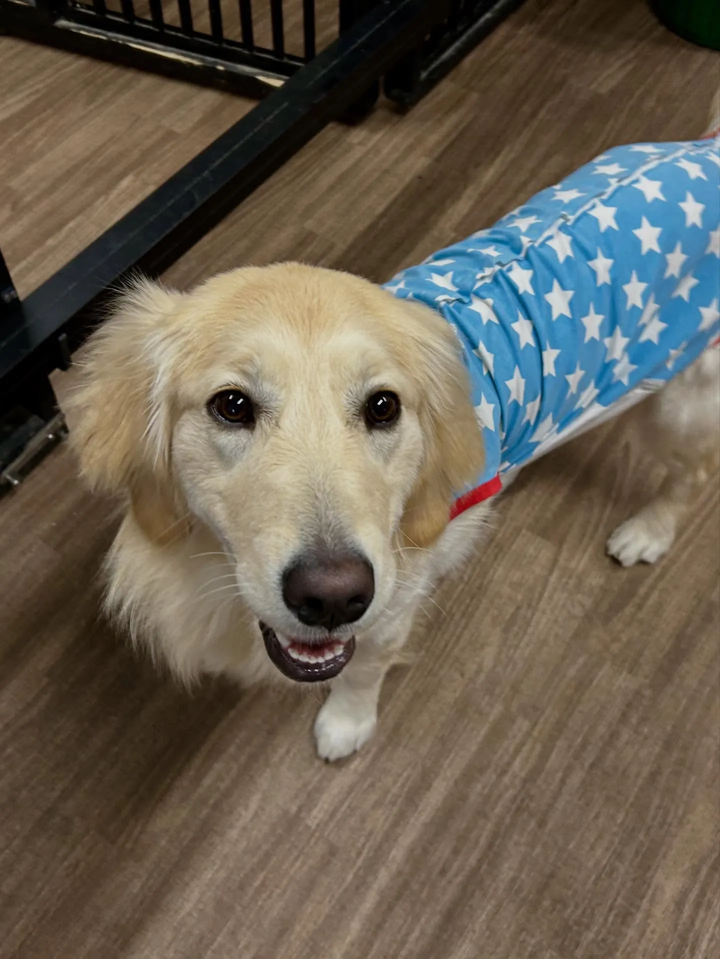 1月の営業カレンダーです❣️