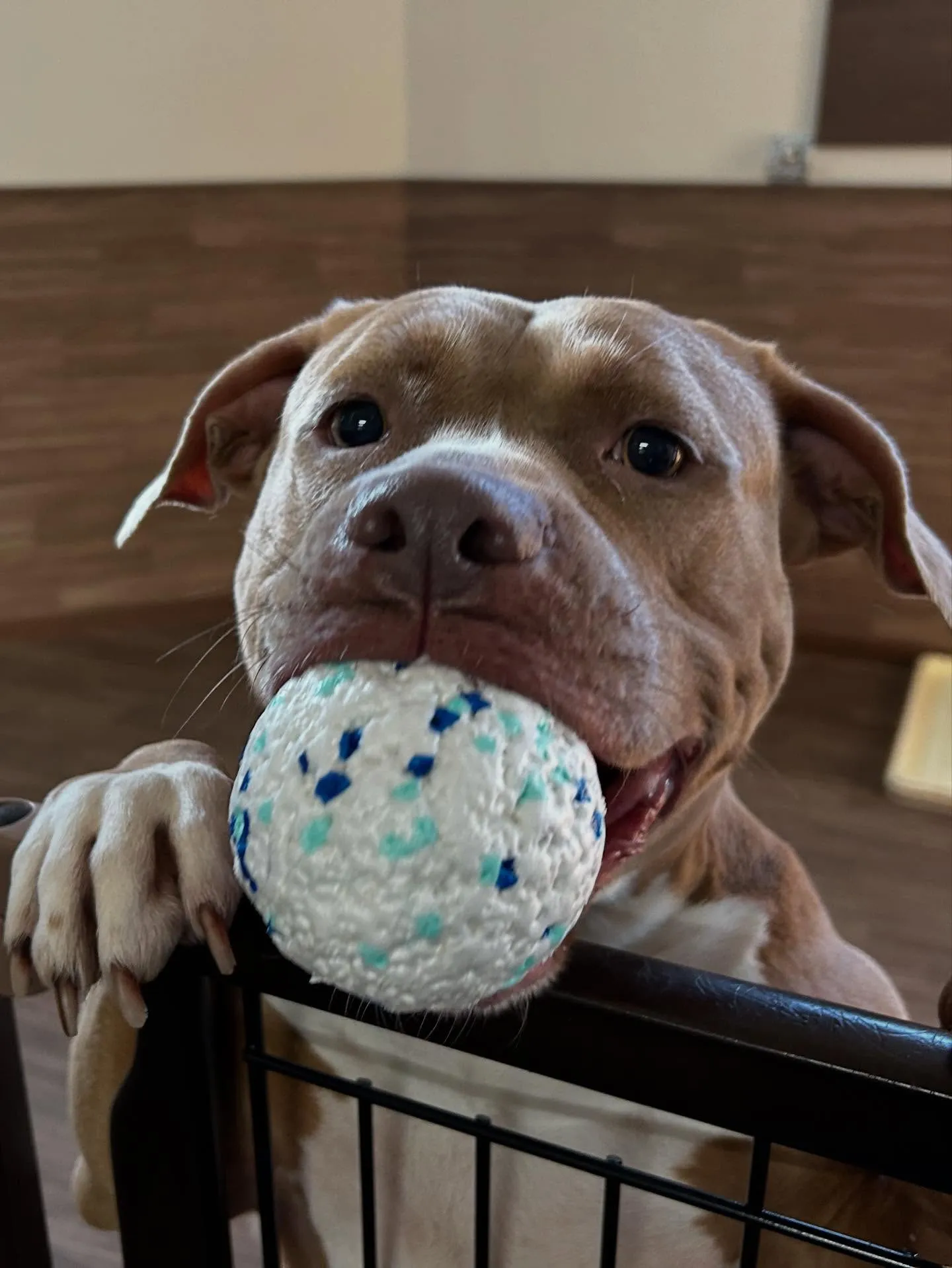 1月の営業カレンダーです❣️