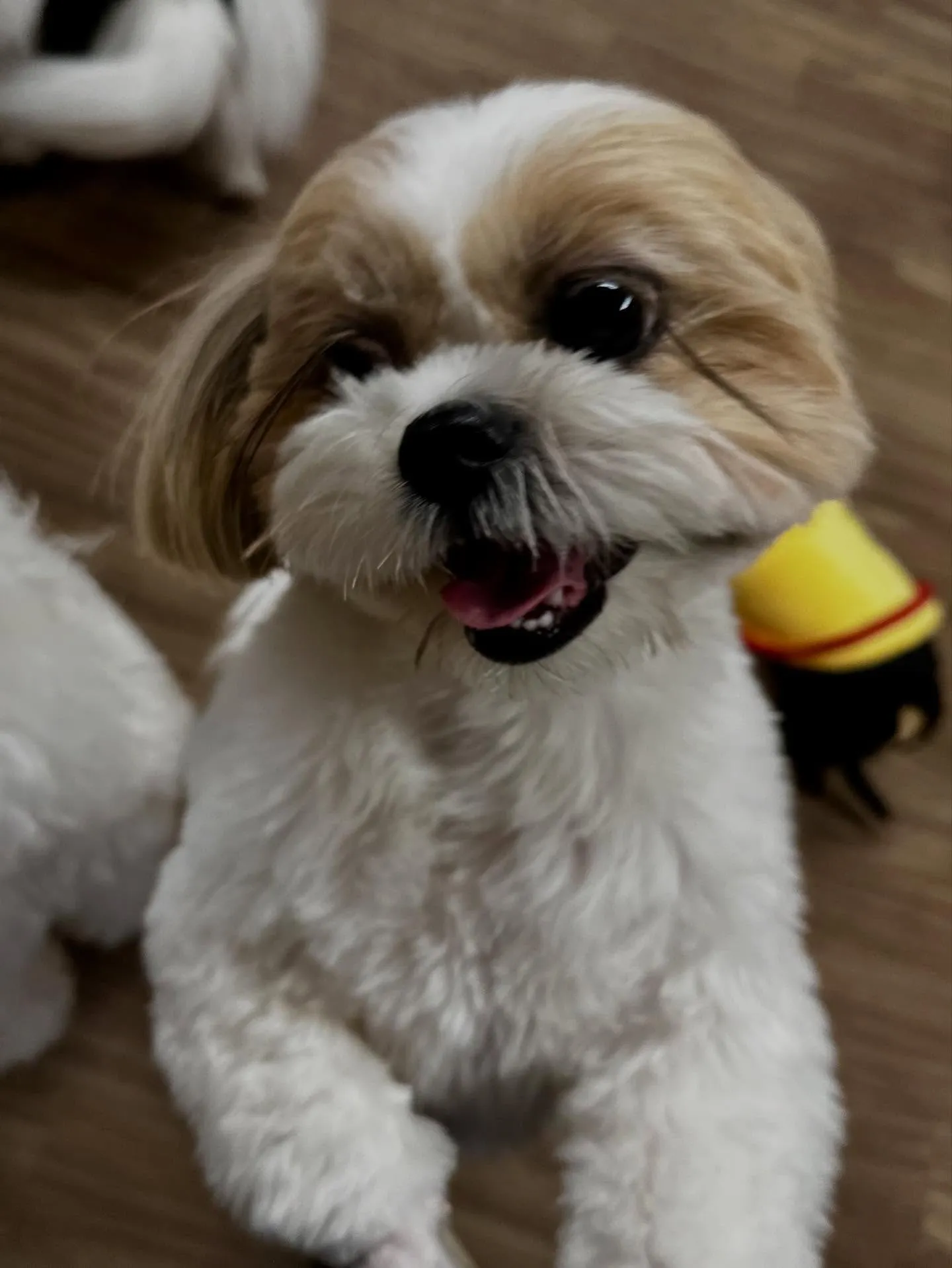 1月の営業カレンダーです❣️