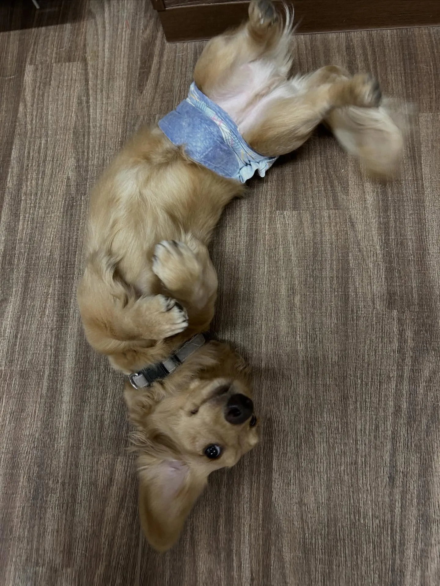 1月の営業カレンダーです❣️