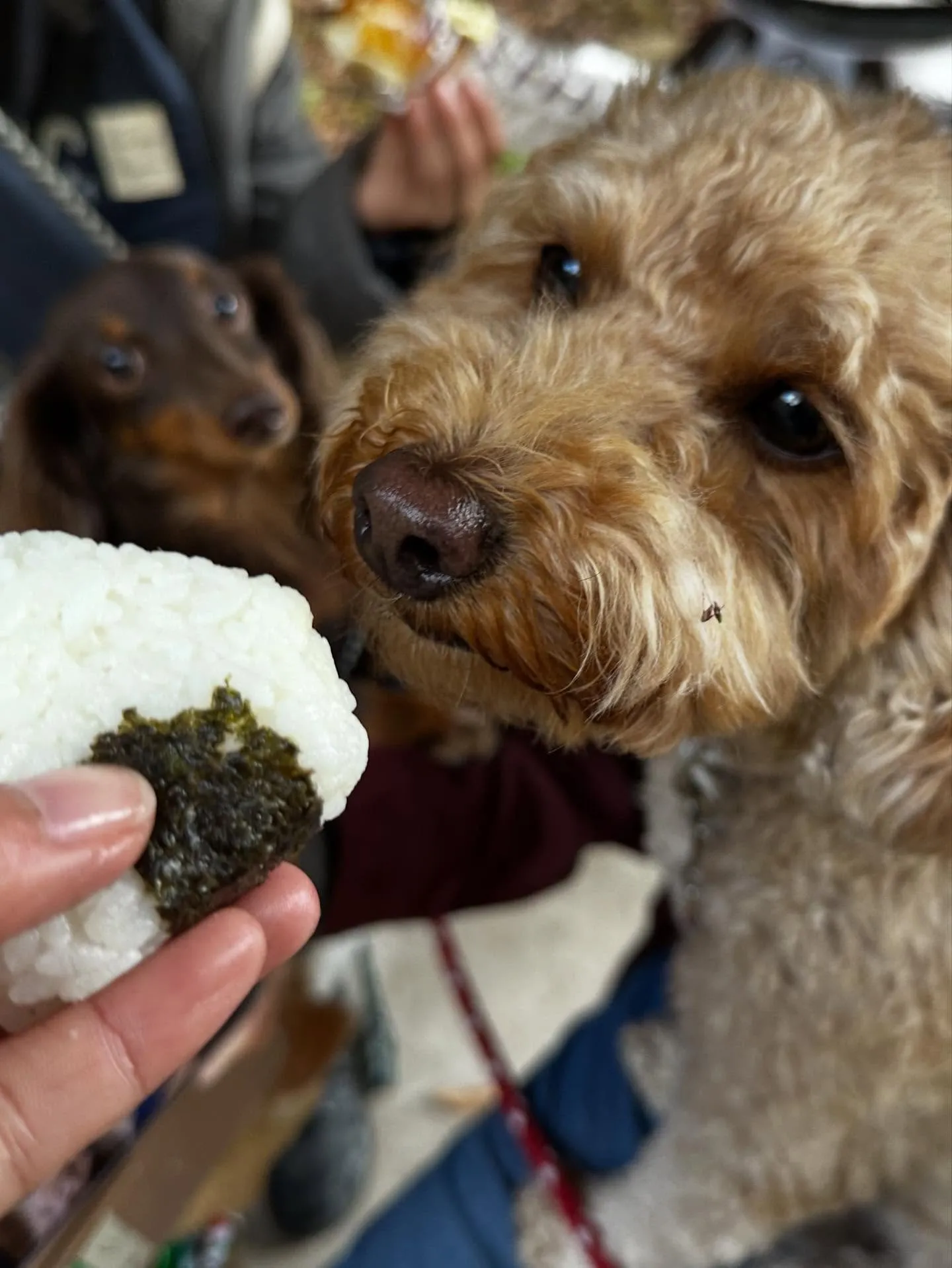 昨日は秋の遠足イベント1日目開催日でした❣️