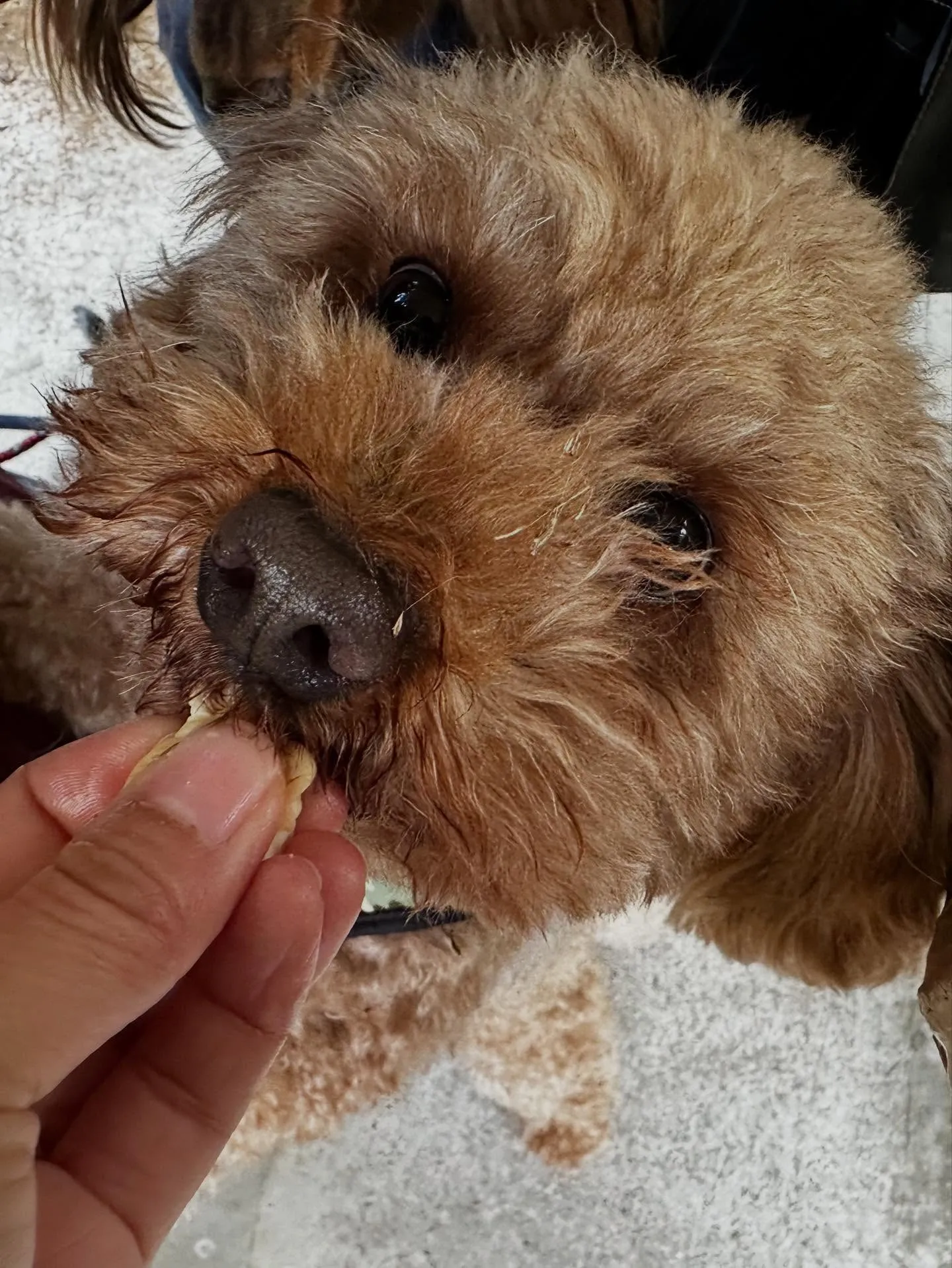 昨日は秋の遠足イベント1日目開催日でした❣️