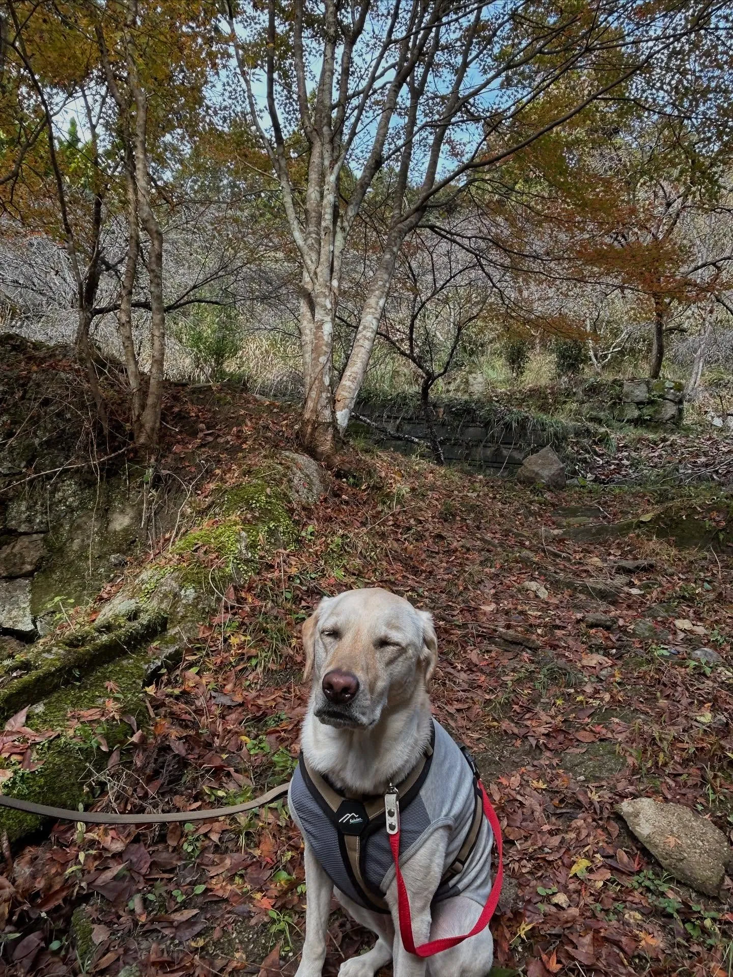 昨日は秋の遠足イベント1日目開催日でした❣️