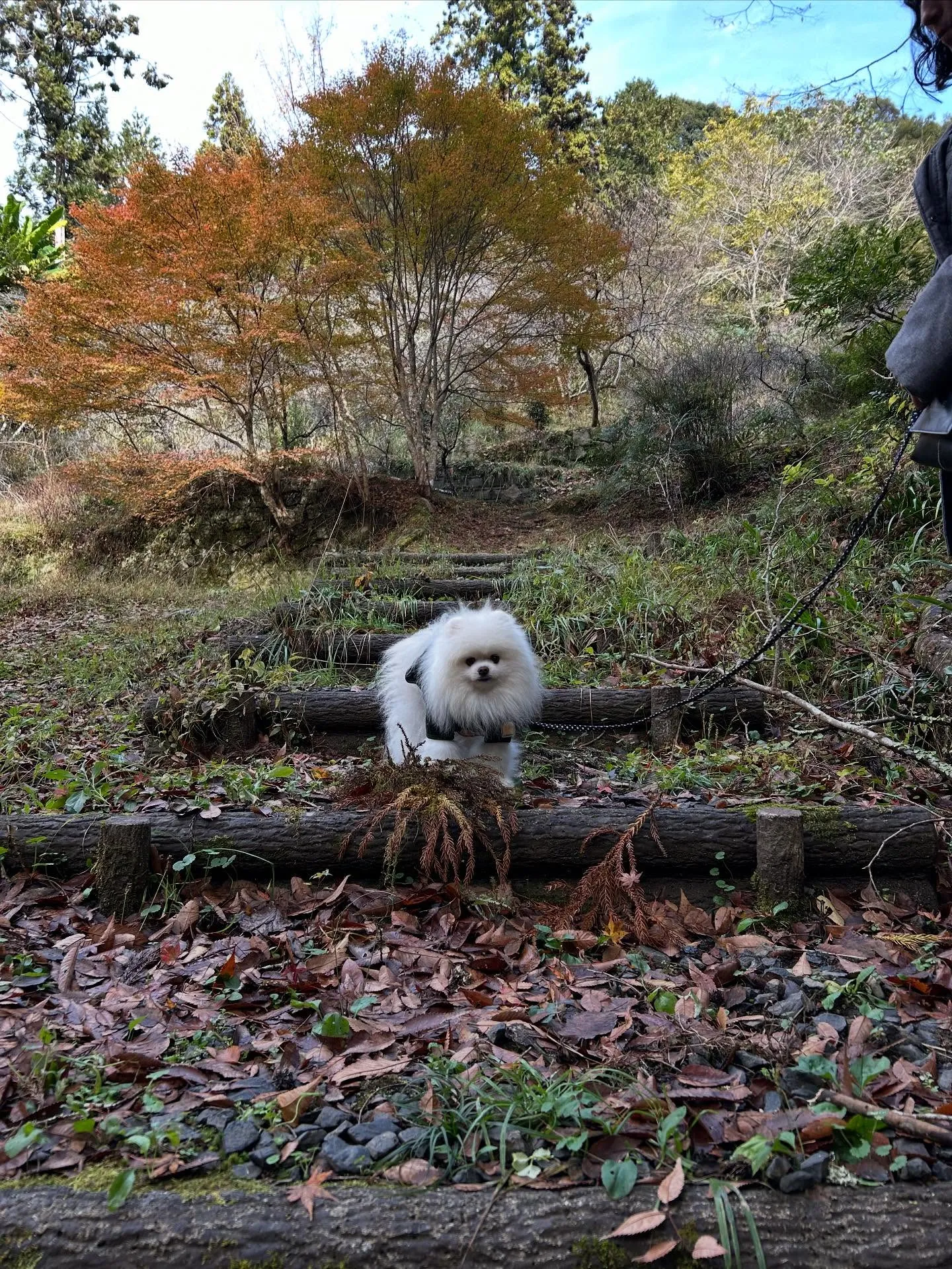 昨日は秋の遠足イベント1日目開催日でした❣️