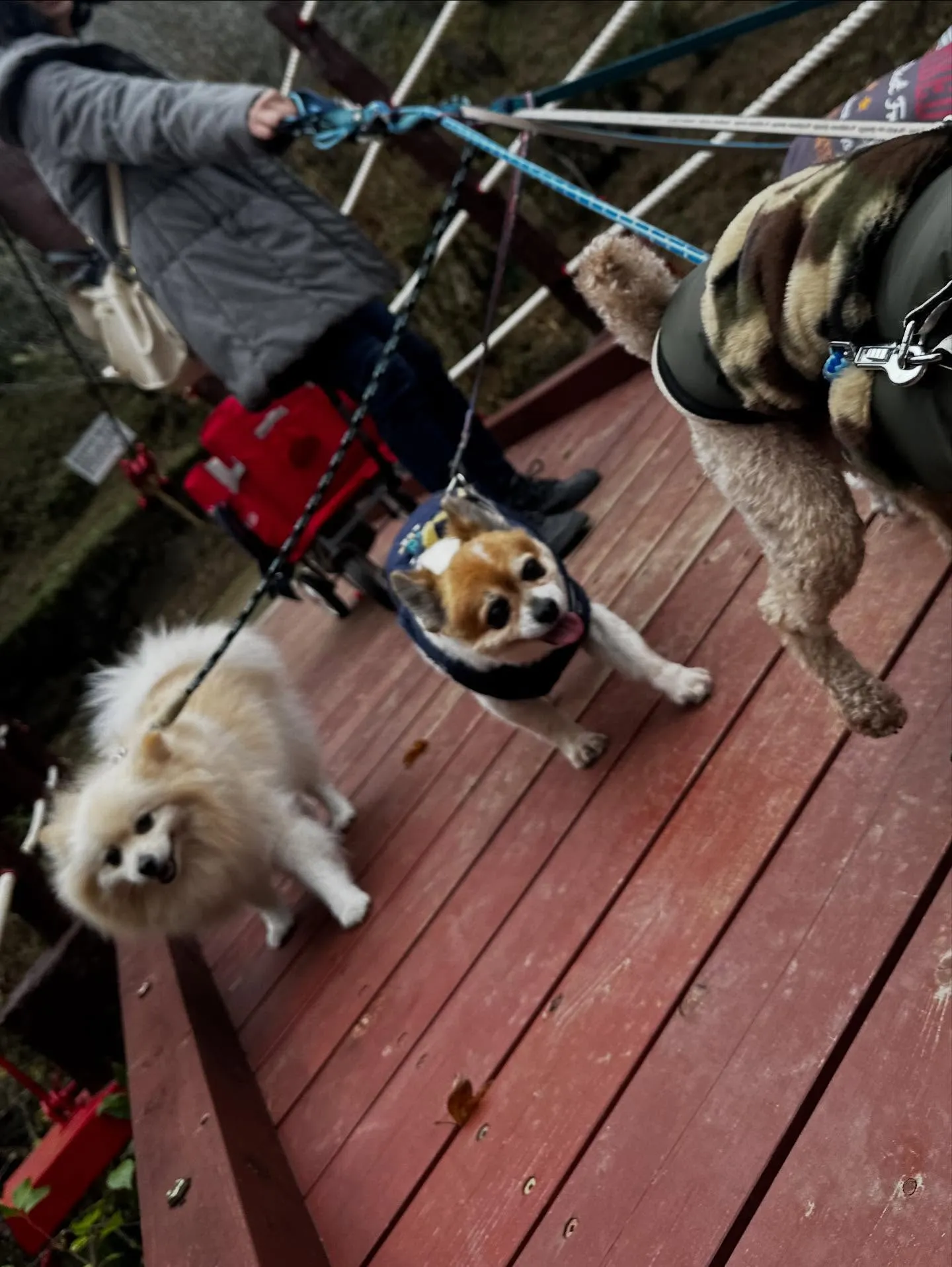 昨日は秋の遠足イベント1日目開催日でした❣️
